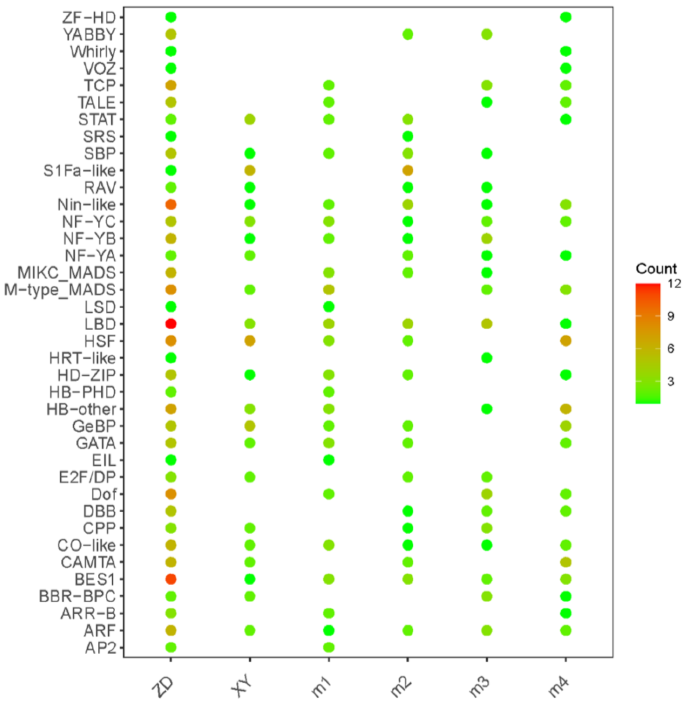 Genes 15 00189 g008