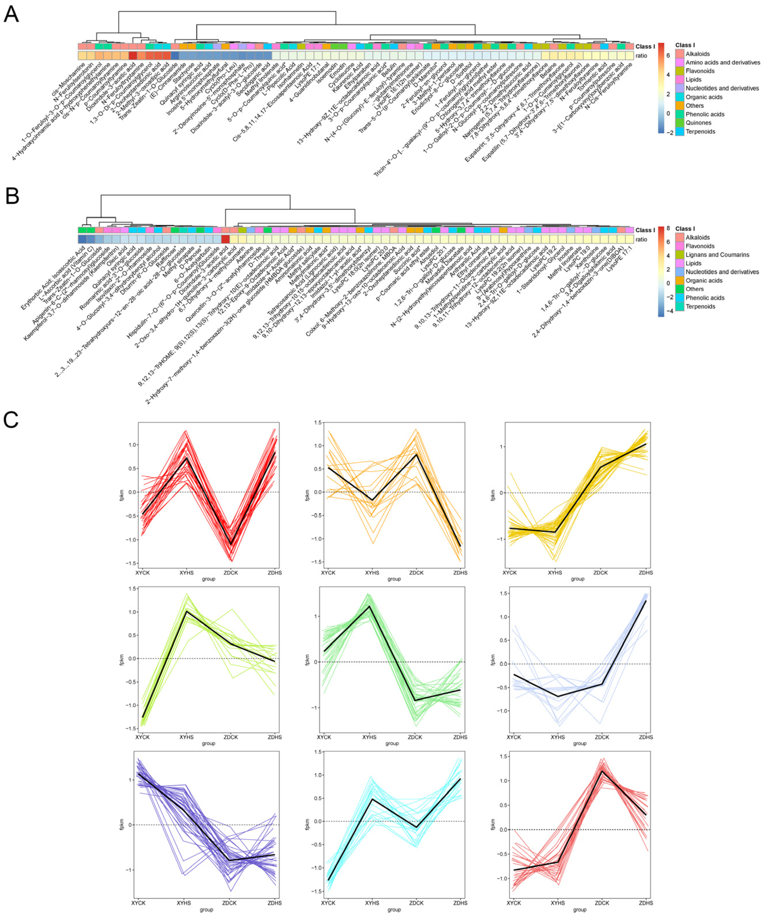 Genes 15 00189 g011