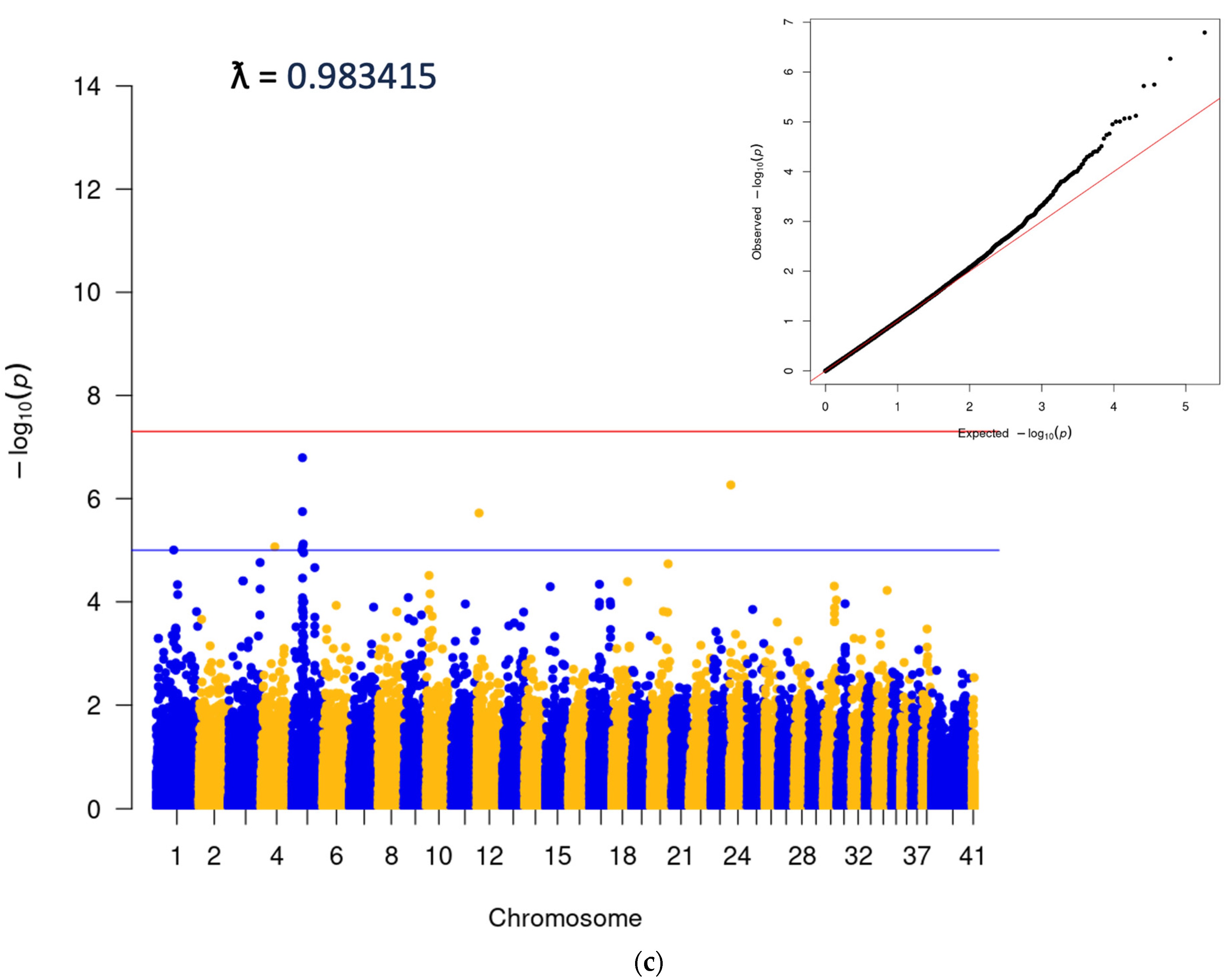 Genes 15 00198 g002b Genes 15 00198 g002b