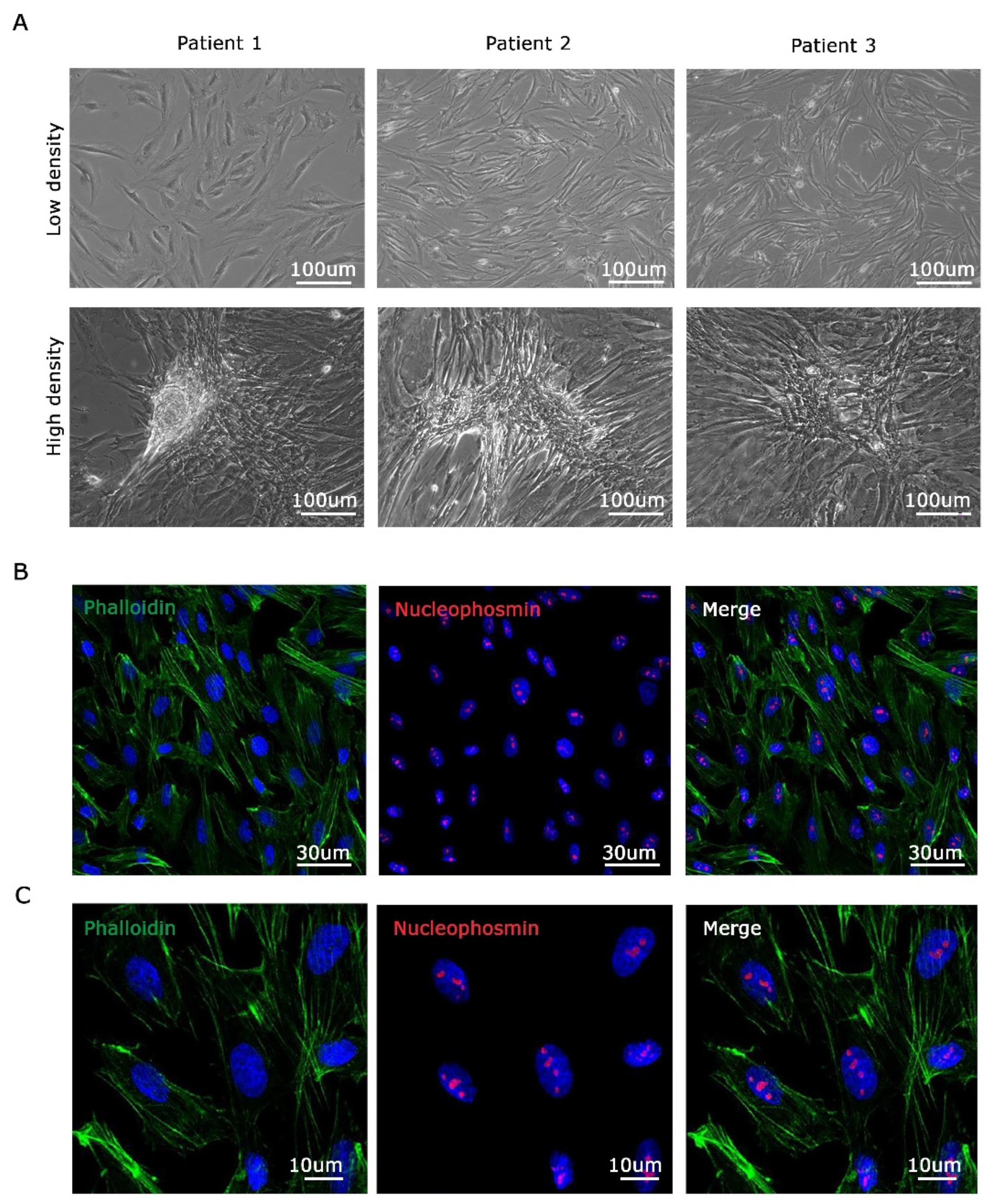 Genes 15 00199 g002 Genes 15 00199 g002