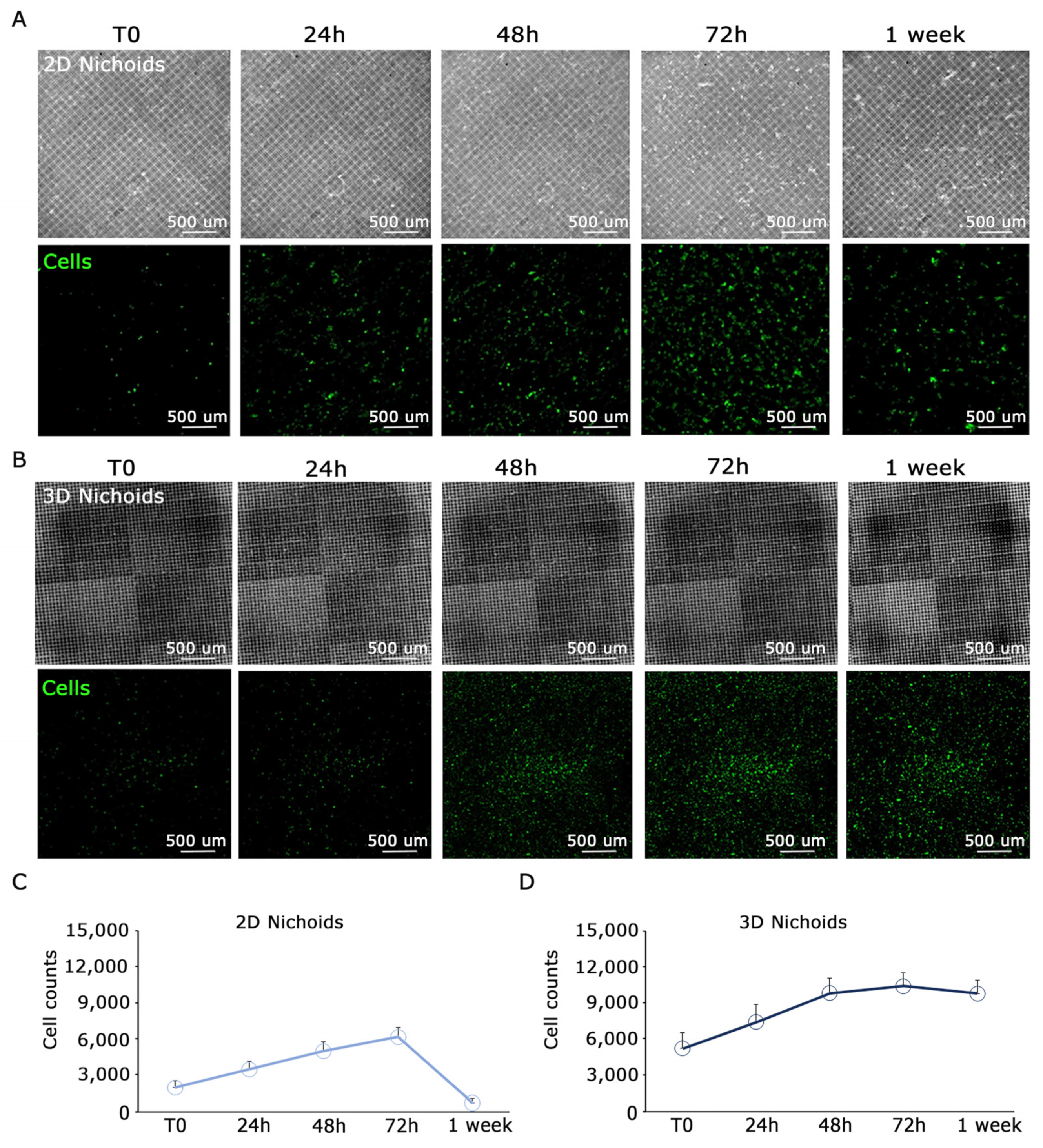 Genes 15 00199 g003 Genes 15 00199 g003