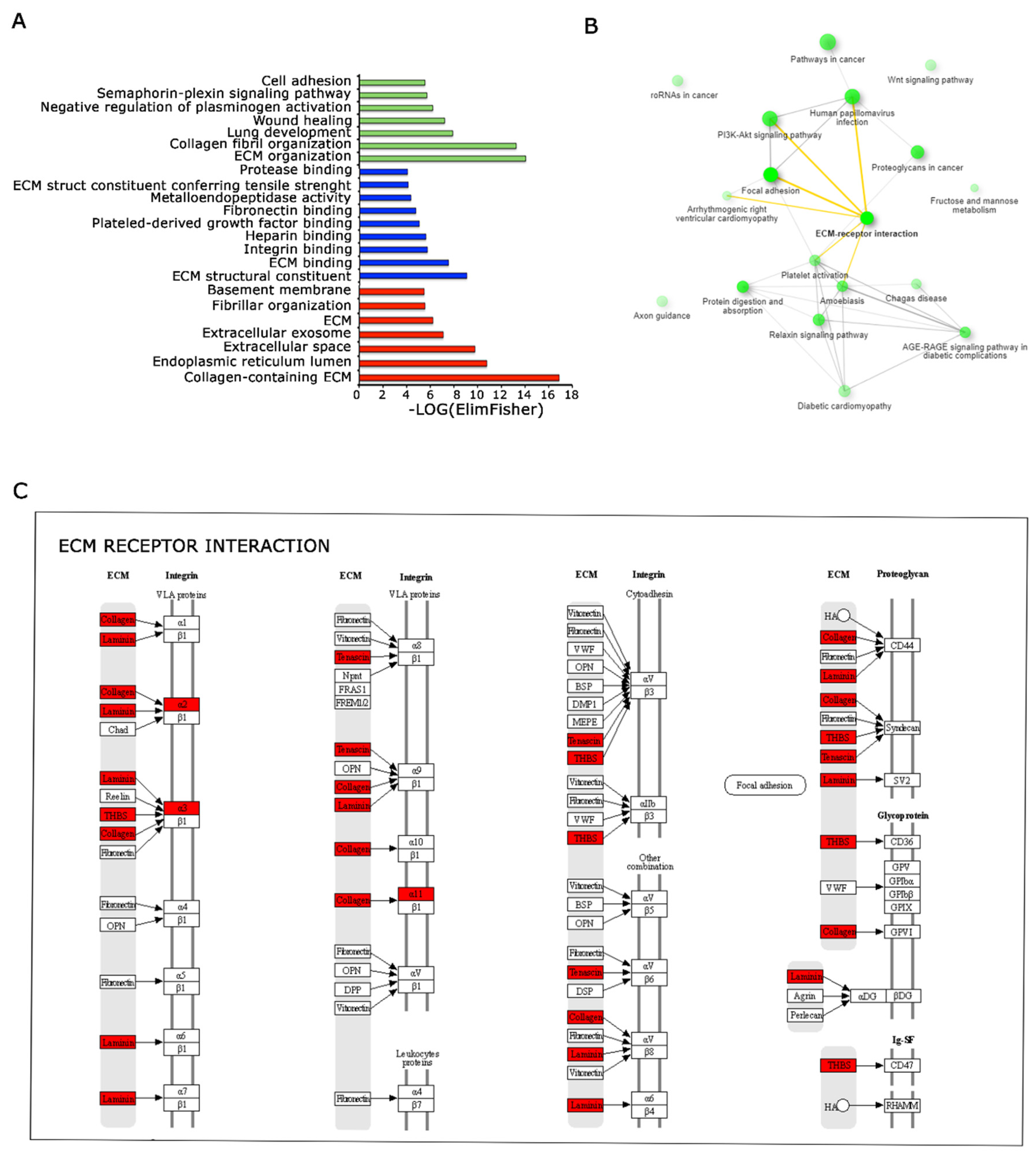 Genes 15 00199 g006 Genes 15 00199 g006