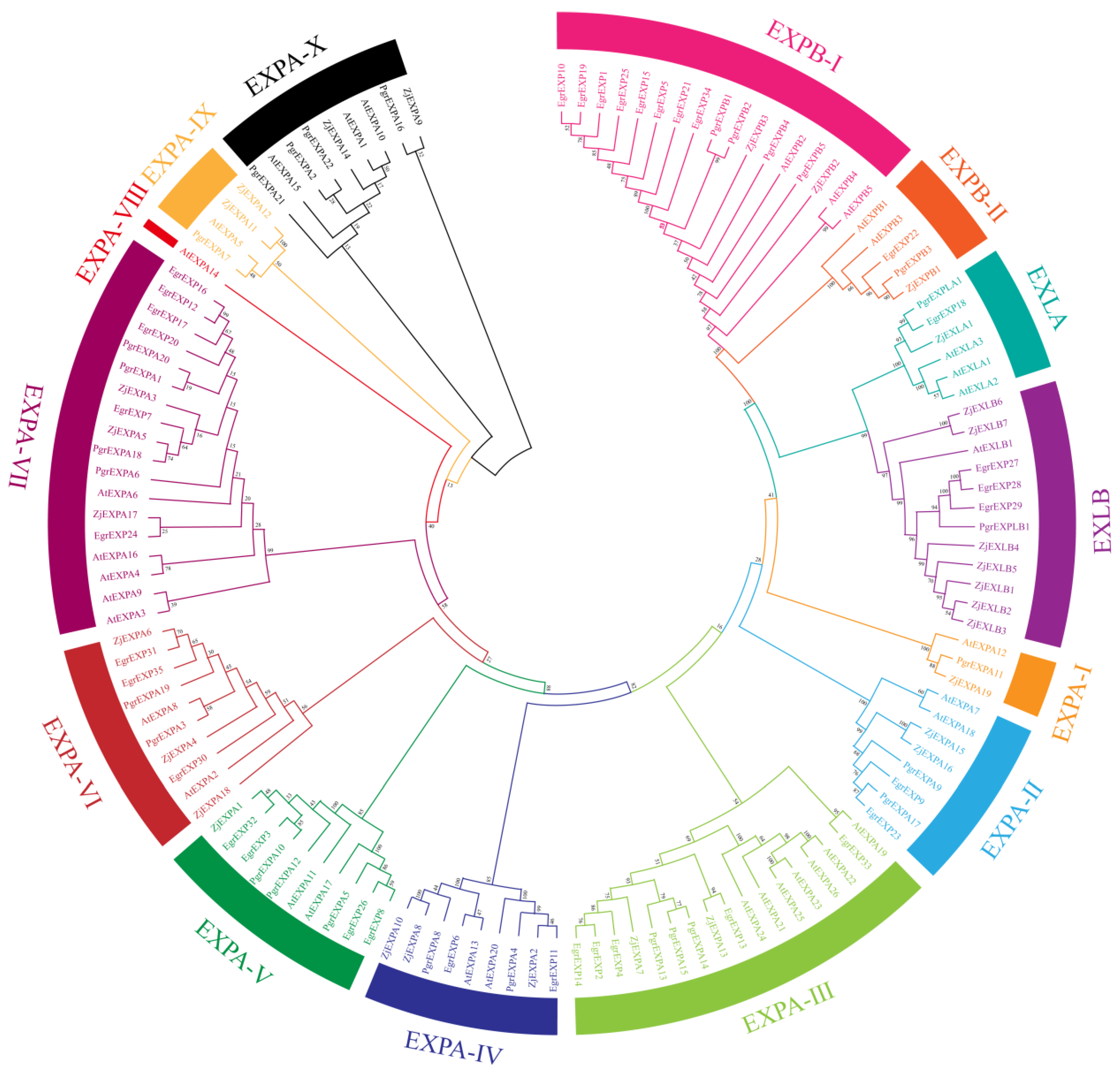 Genes 15 00212 g001 Genes 15 00212 g001