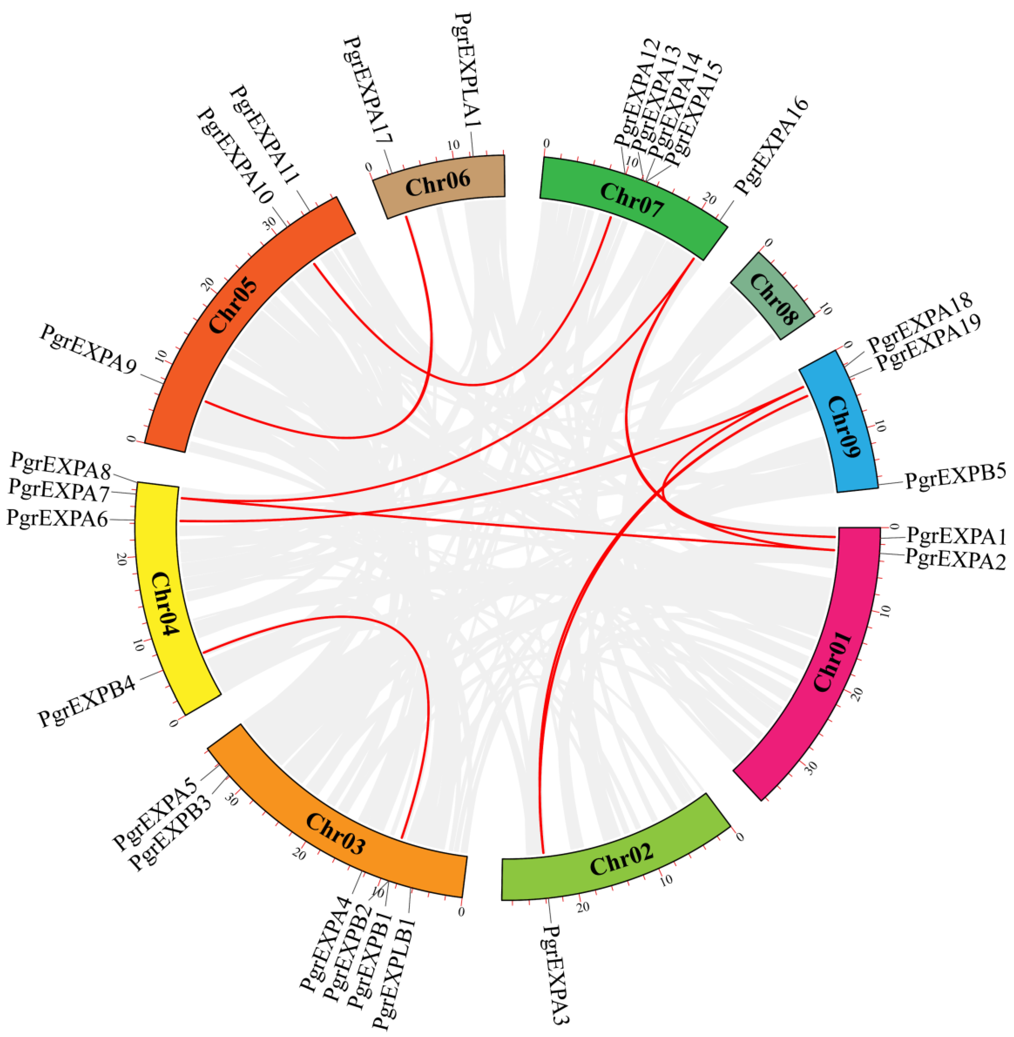 Genes 15 00212 g002 Genes 15 00212 g002