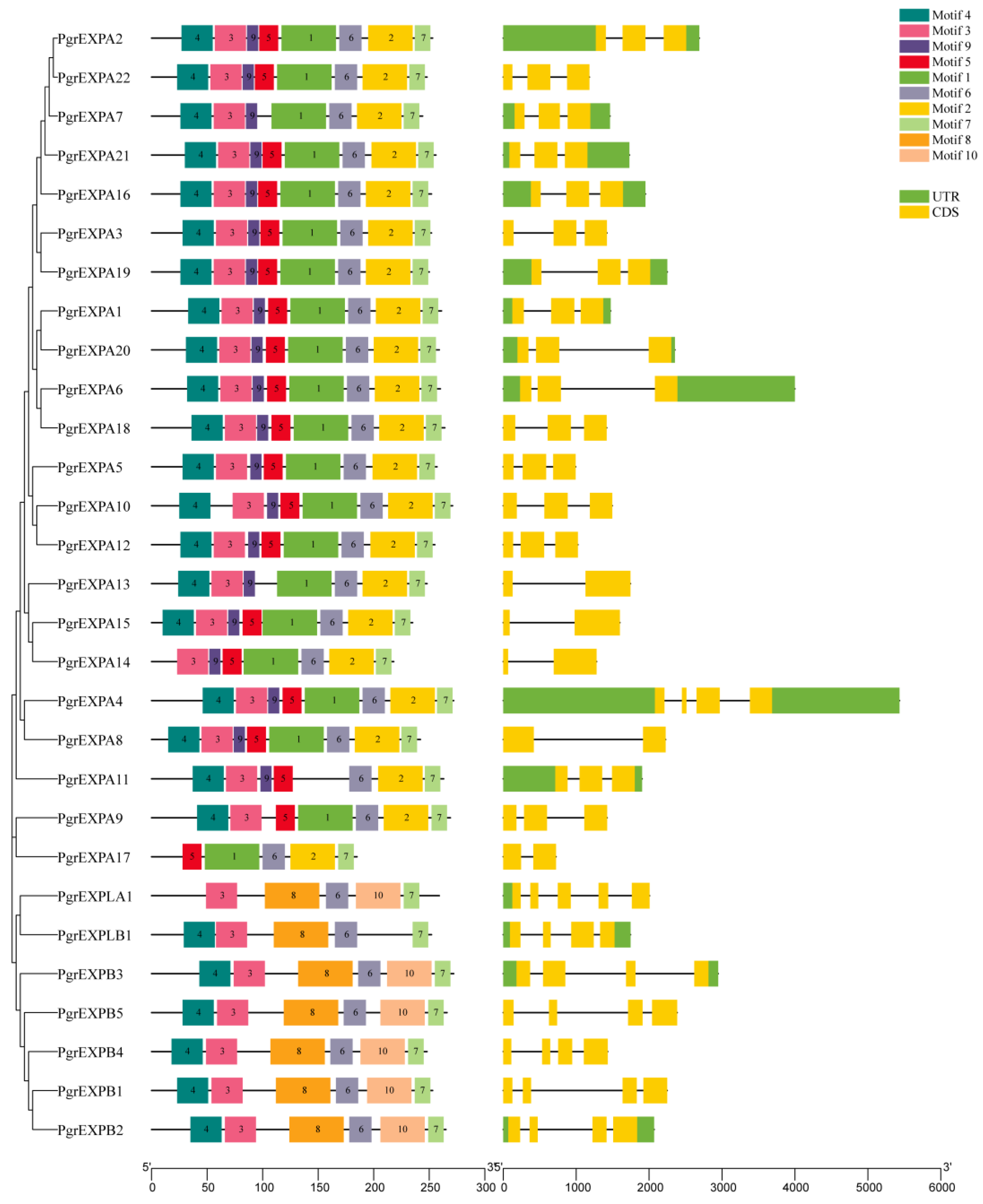 Genes 15 00212 g003 Genes 15 00212 g003