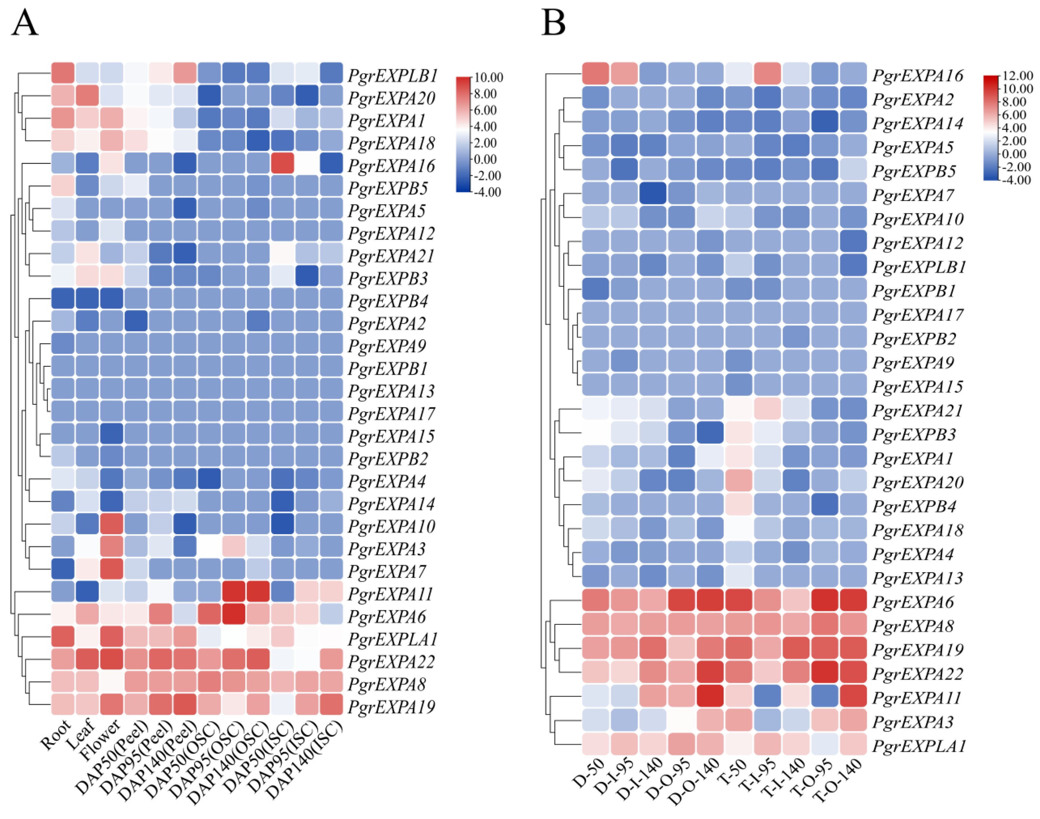 Genes 15 00212 g004 Genes 15 00212 g004