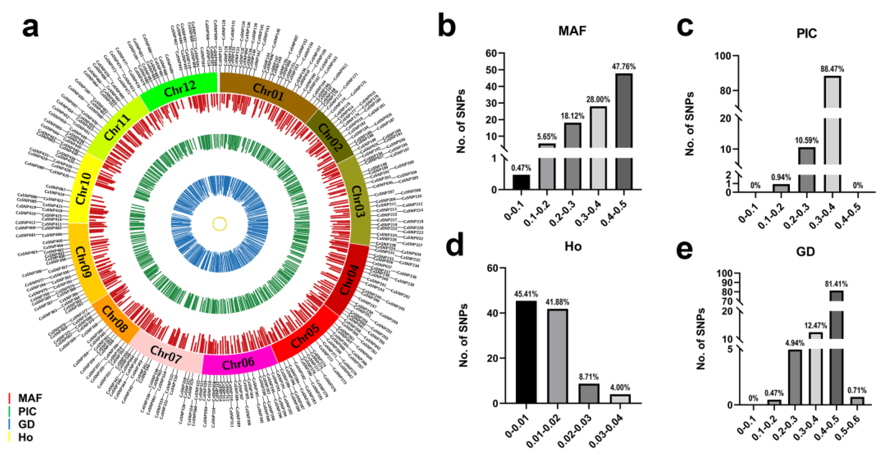 Genes 15 00214 g001