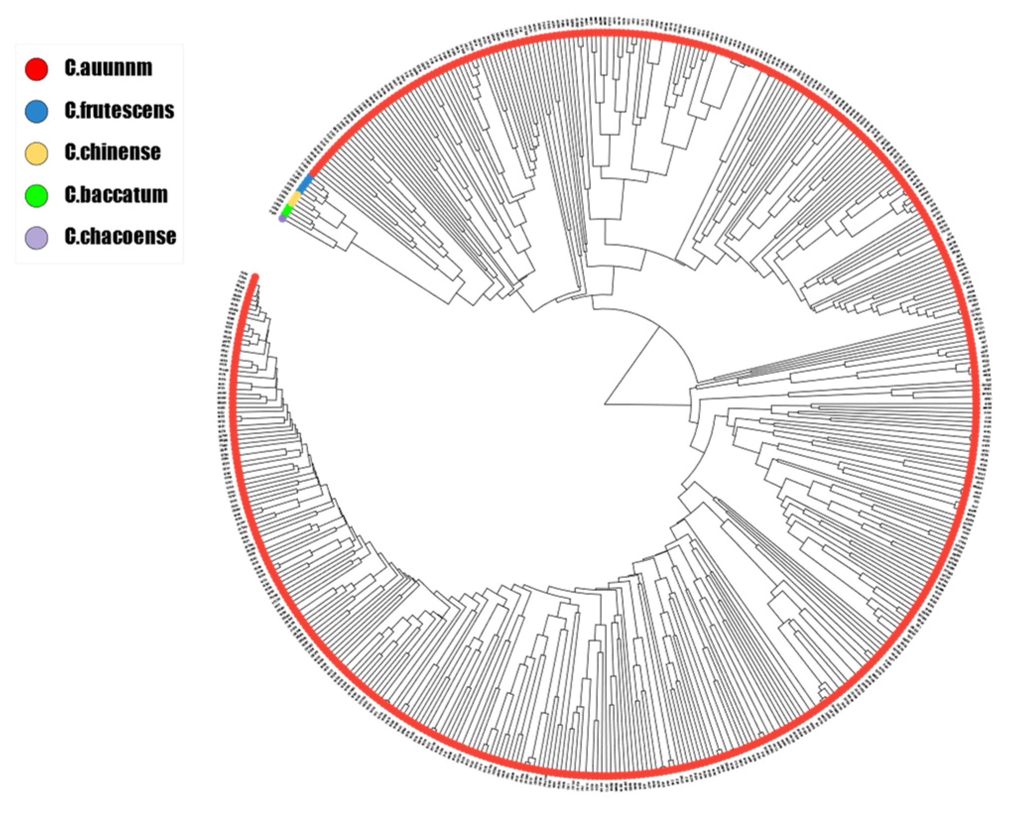 Genes 15 00214 g002
