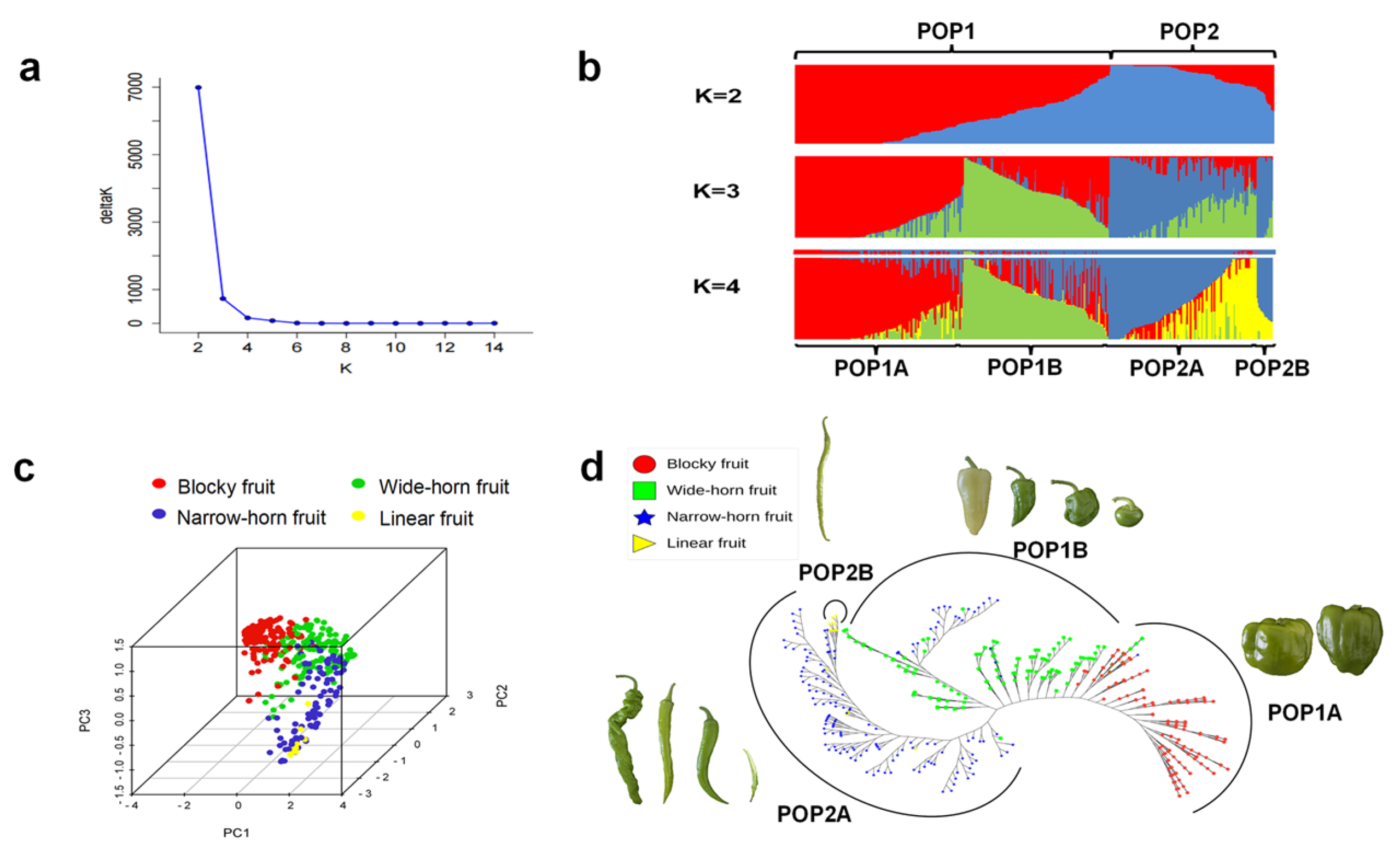 Genes 15 00214 g003