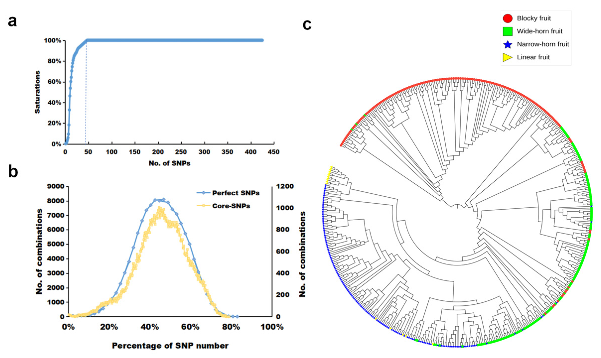 Genes 15 00214 g004