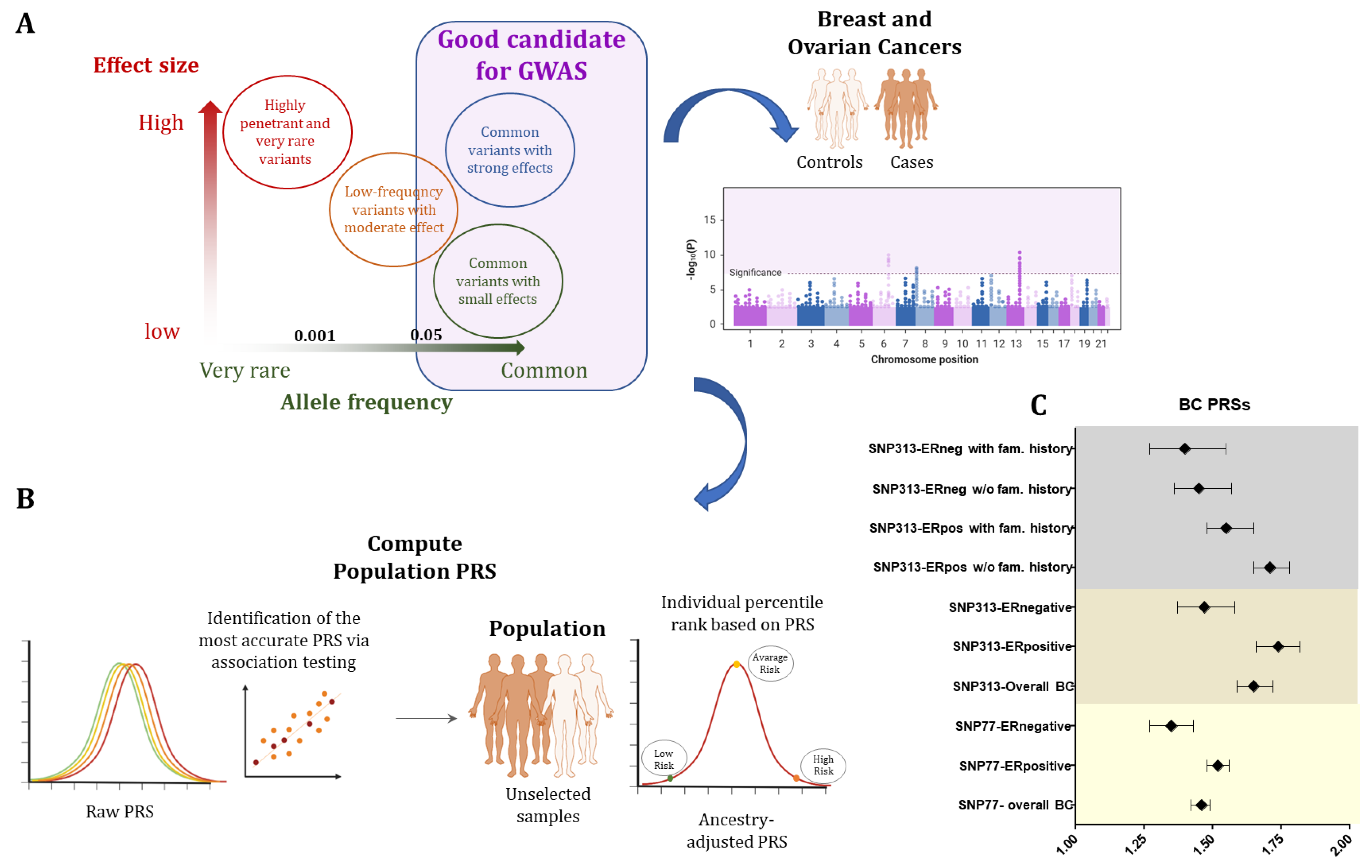 Genes 15 00219 g001