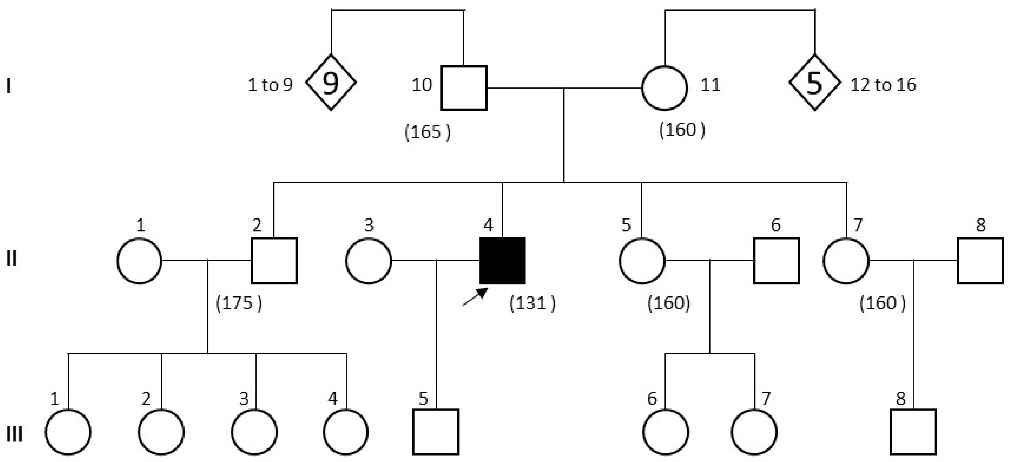 Genes 15 00225 g002 Genes 15 00225 g002