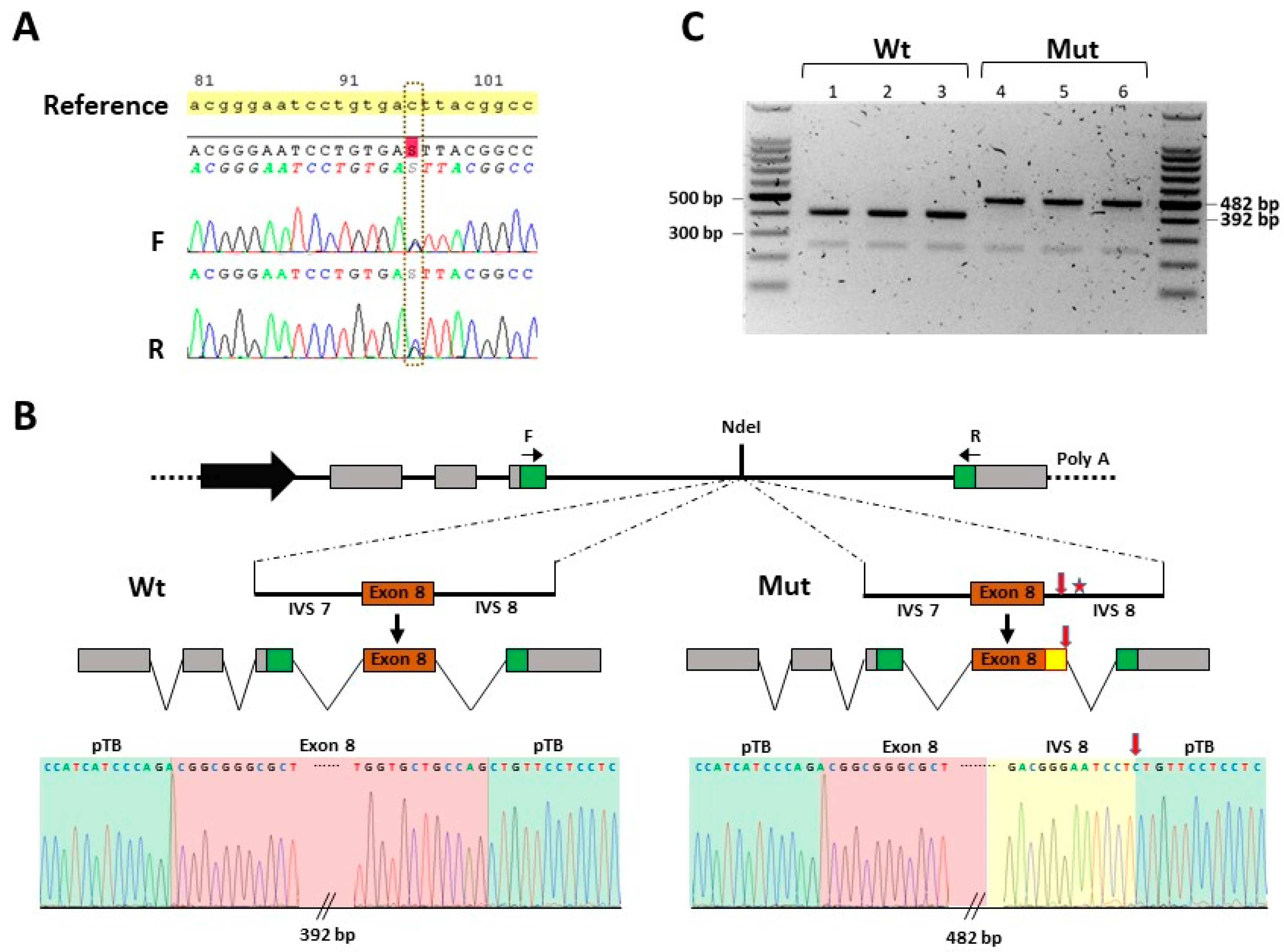 Genes 15 00225 g004 Genes 15 00225 g004