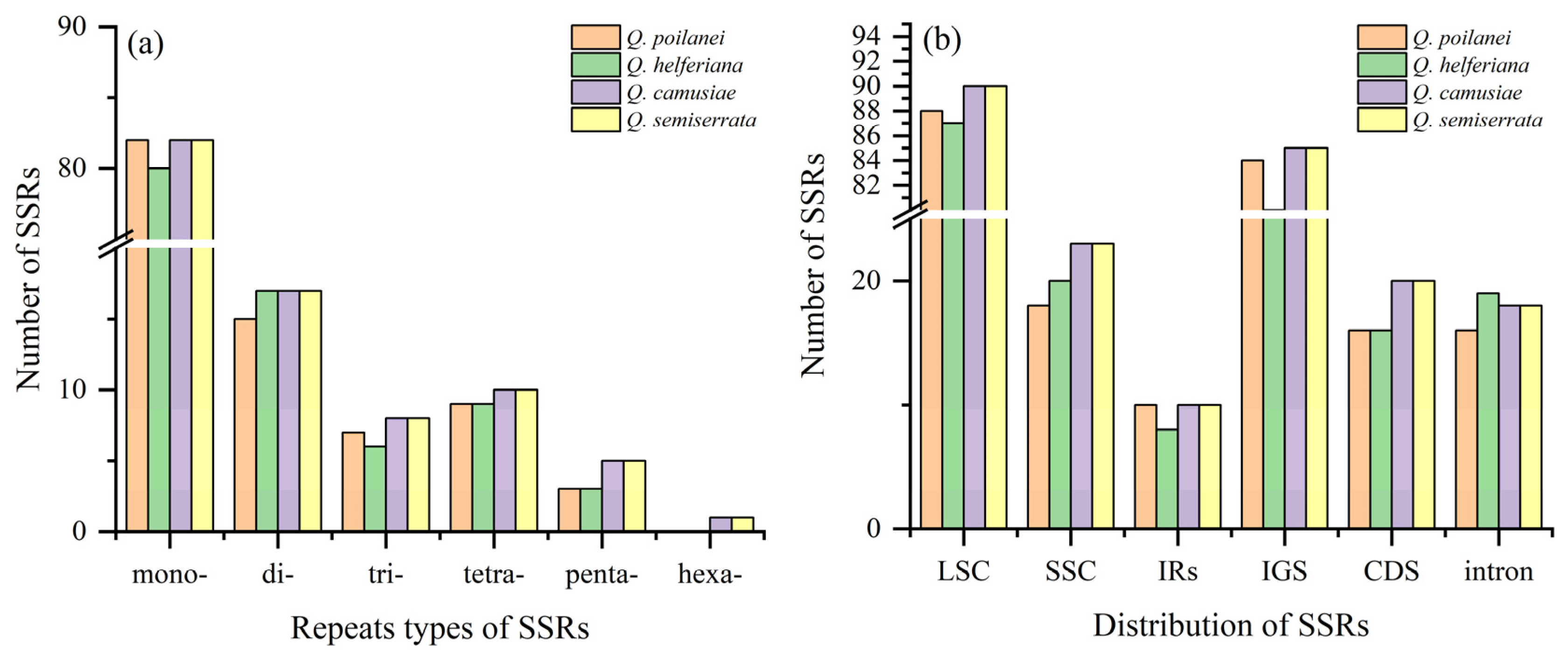 Genes 15 00230 g002 Genes 15 00230 g002