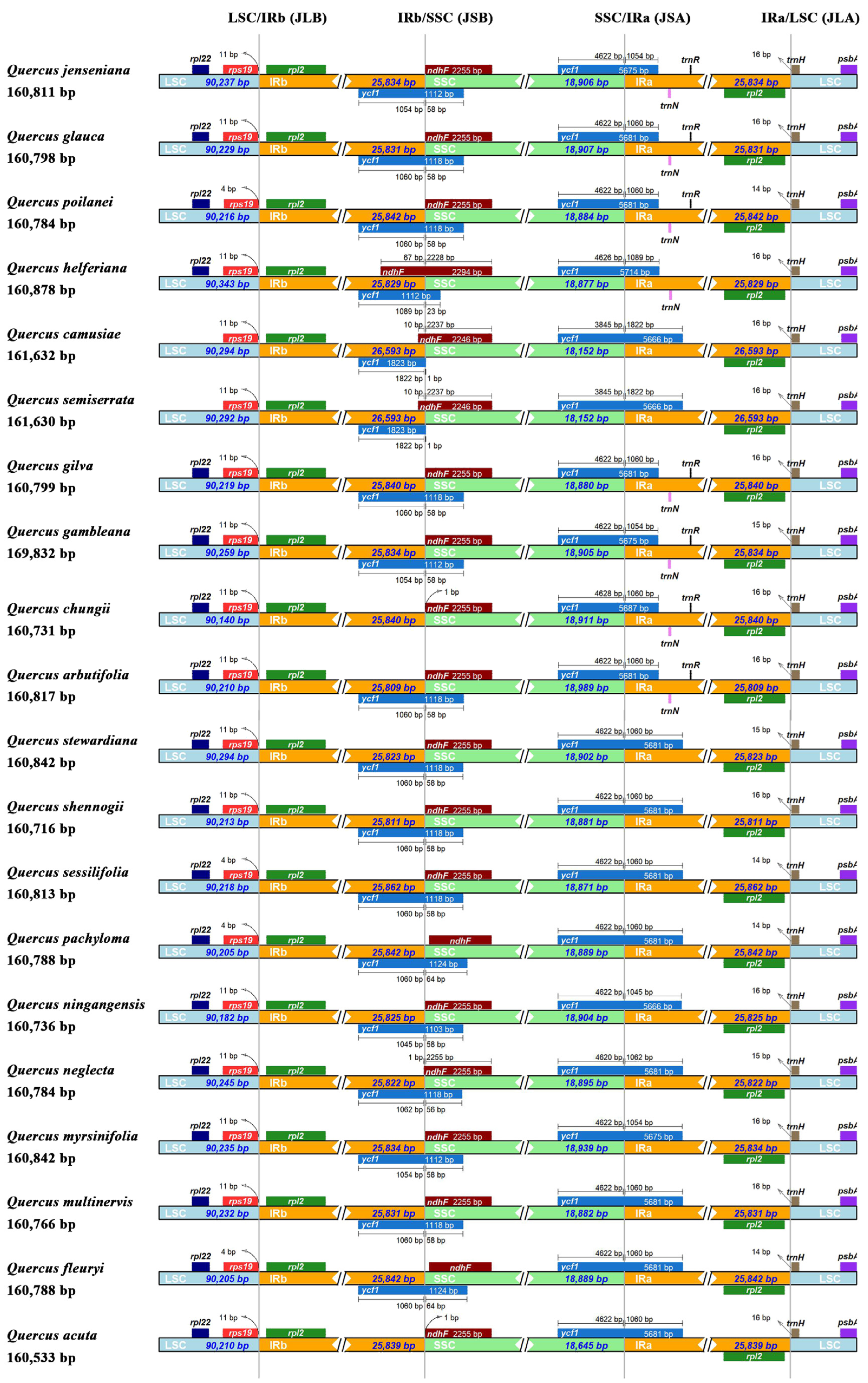 Genes 15 00230 g006 Genes 15 00230 g006