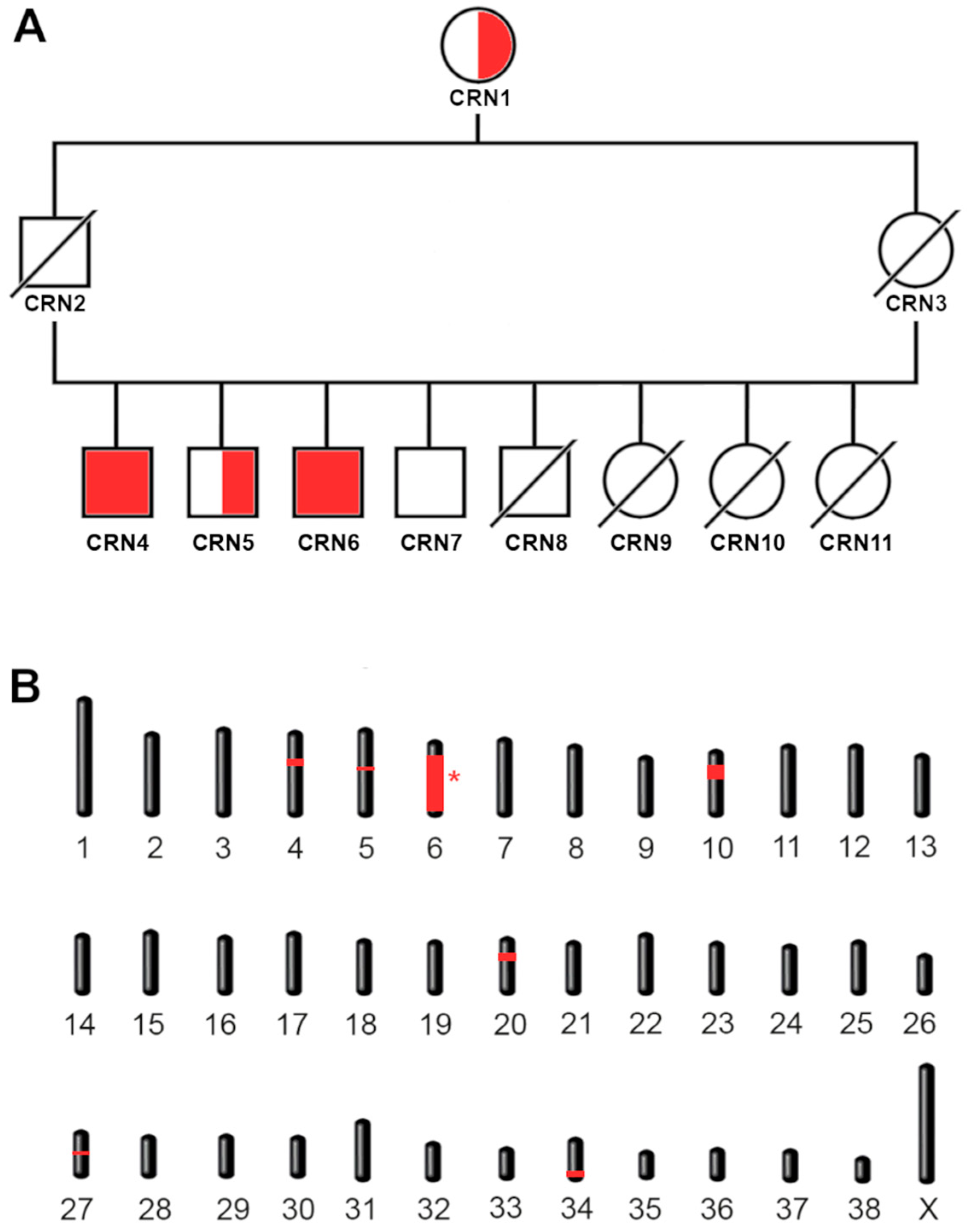Genes 15 00238 g002 Genes 15 00238 g002
