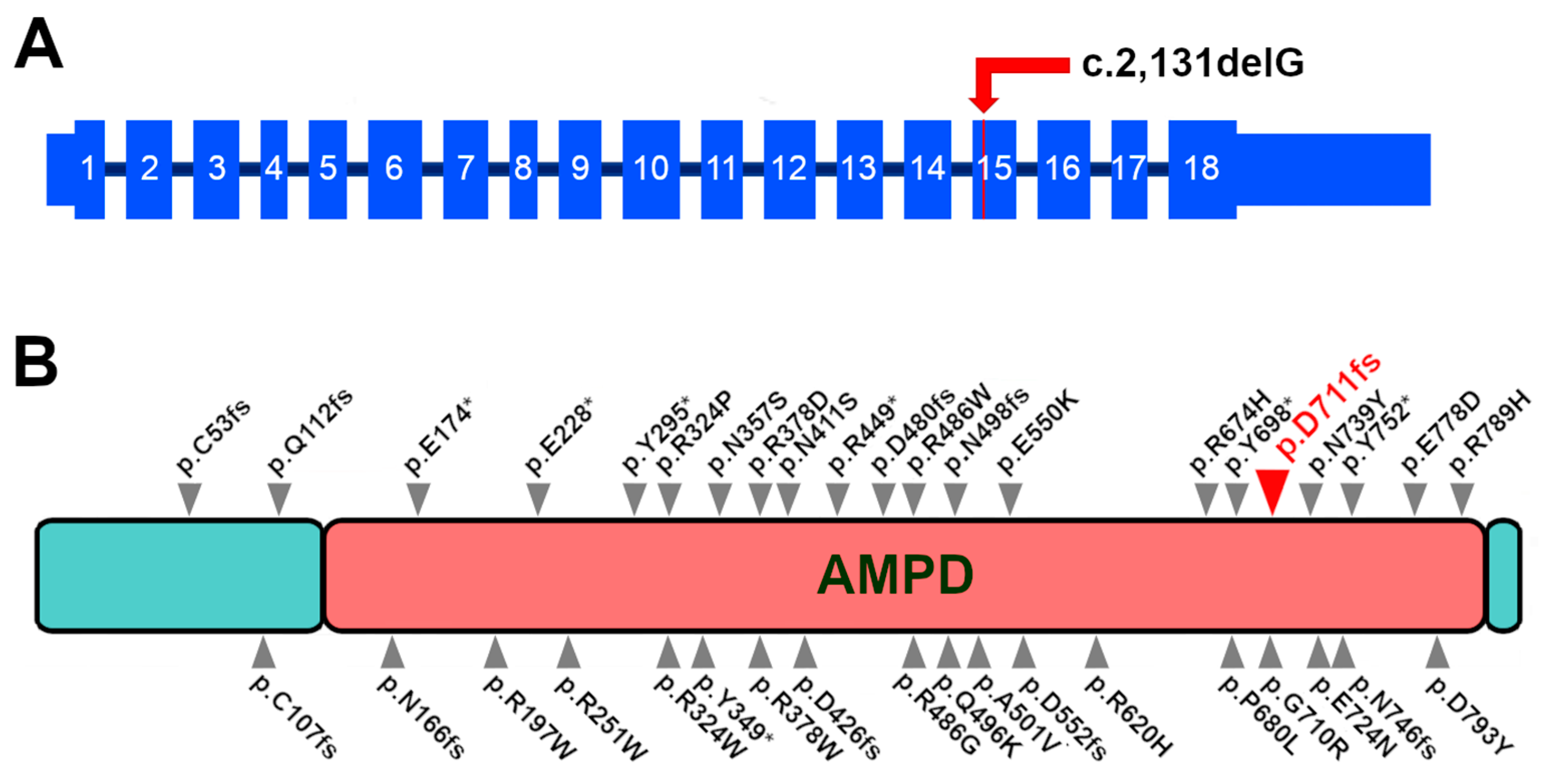 Genes 15 00238 g004 Genes 15 00238 g004