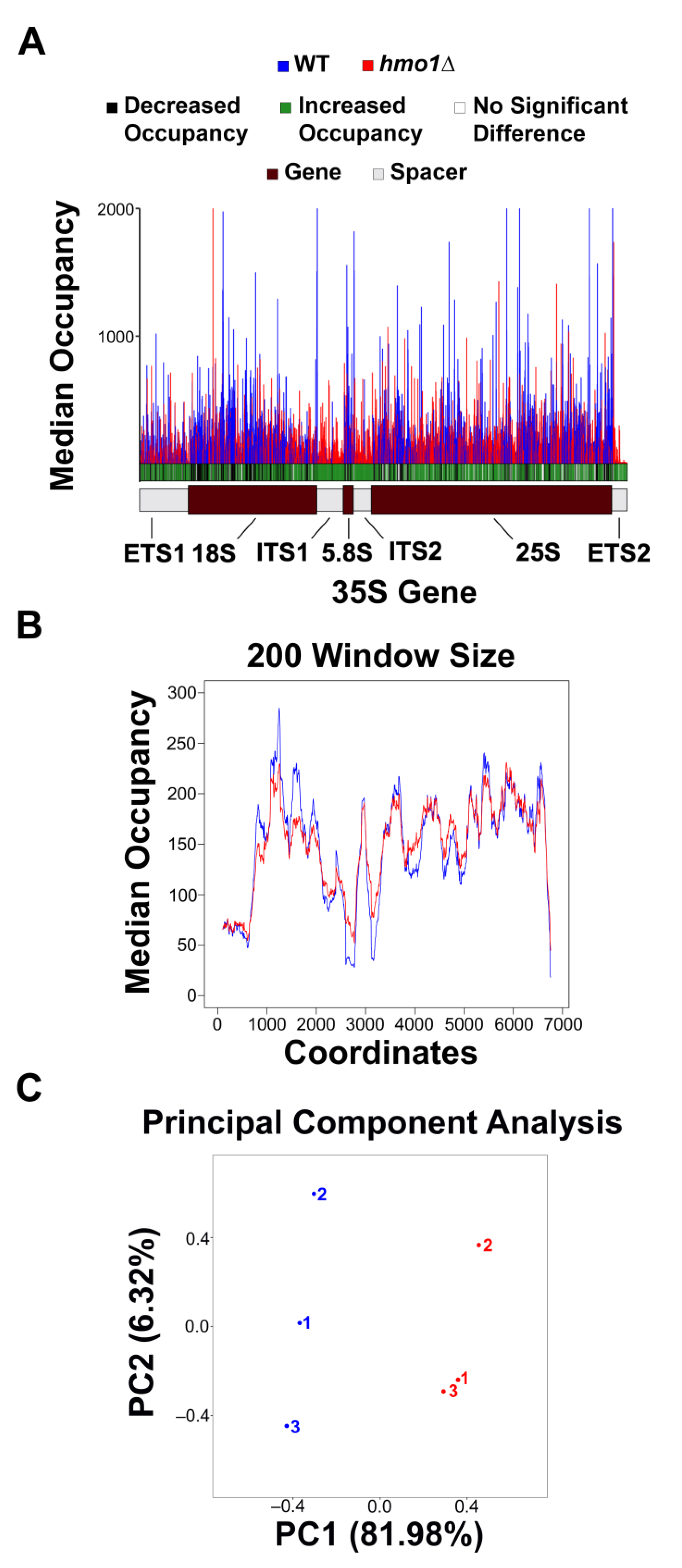 Genes 15 00247 g001