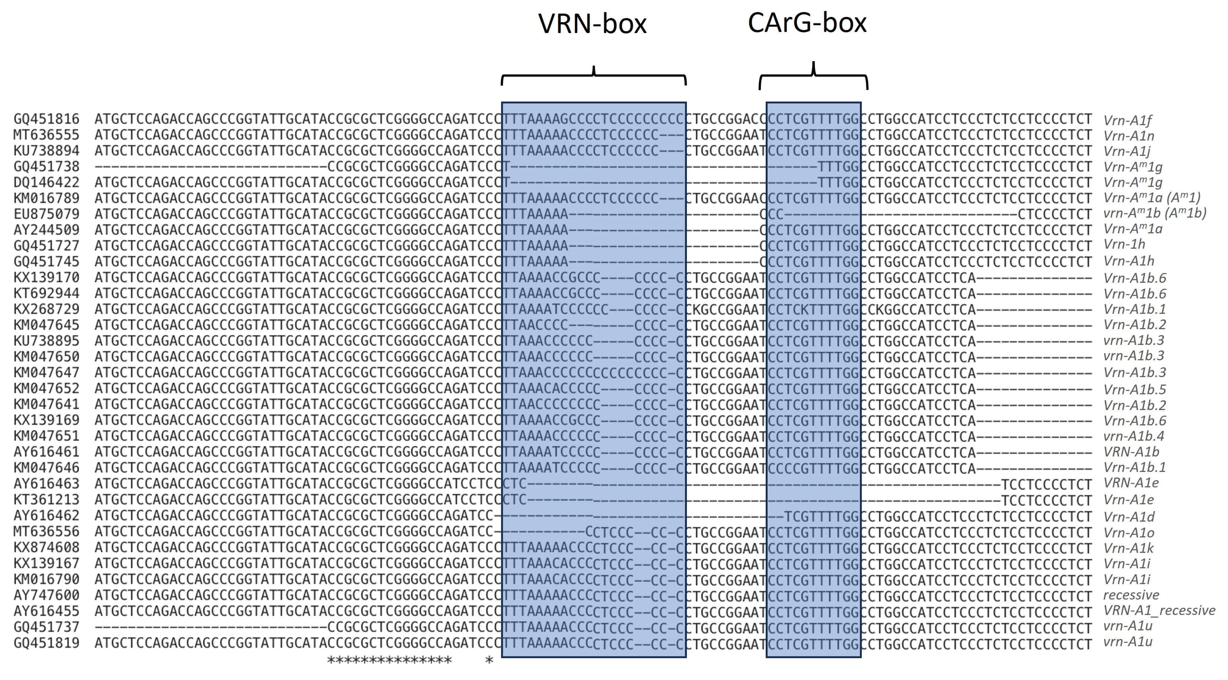 Genes 15 00251 g002 Genes 15 00251 g002