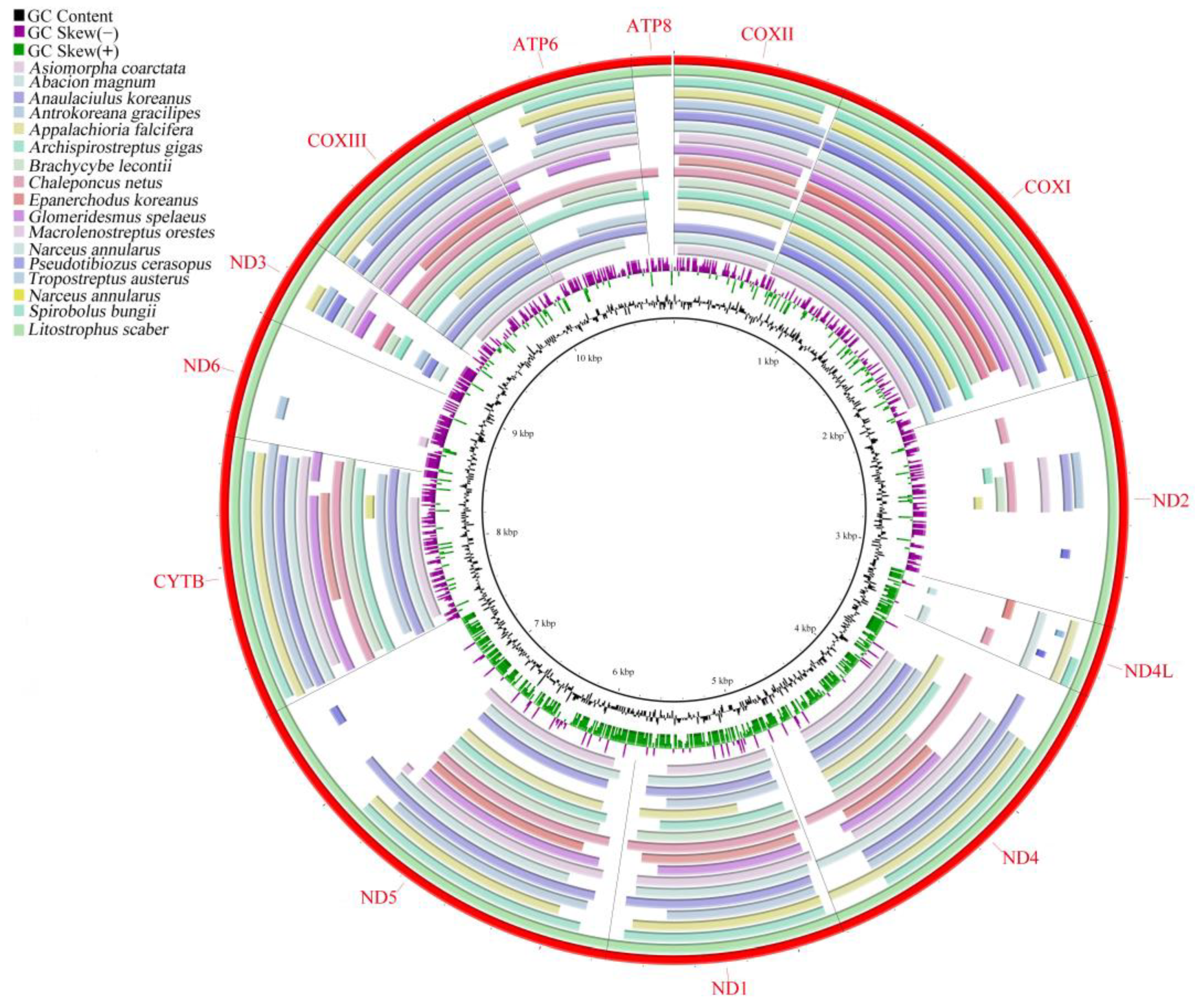 Genes 15 00254 g003