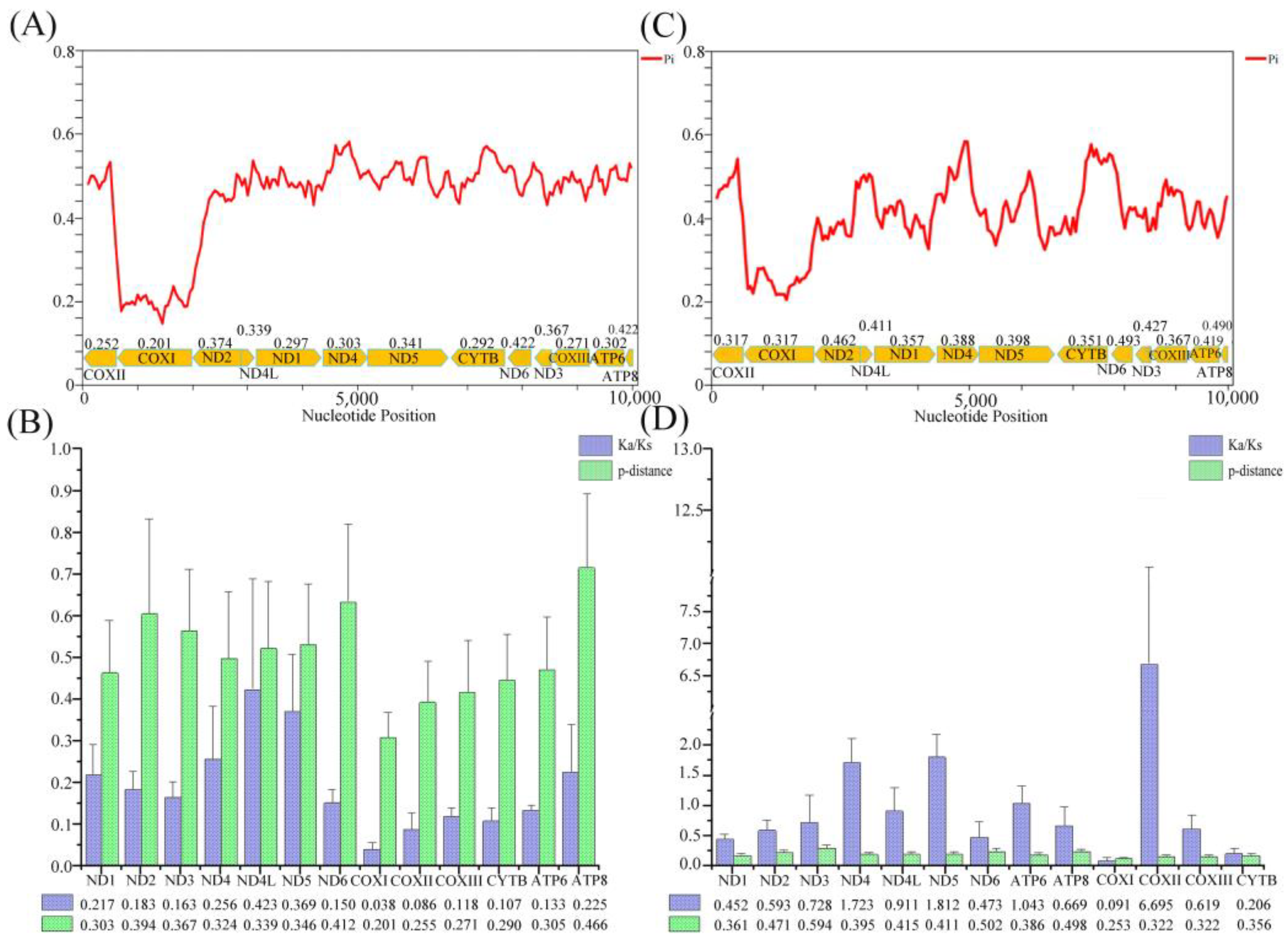 Genes 15 00254 g005