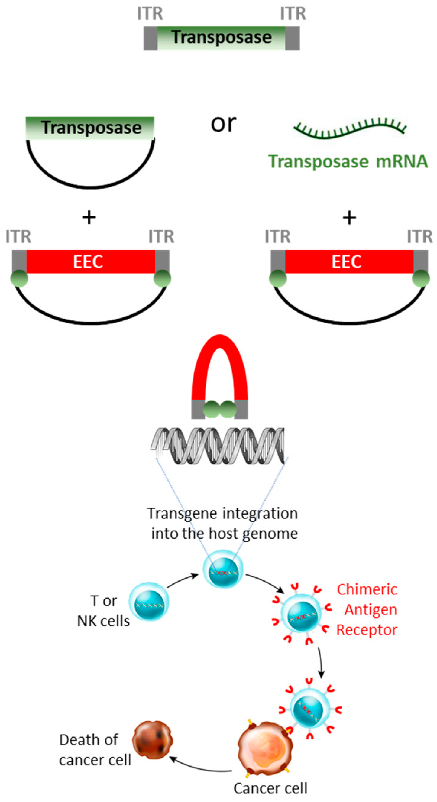 Genes 15 00261 g002 Genes 15 00261 g002