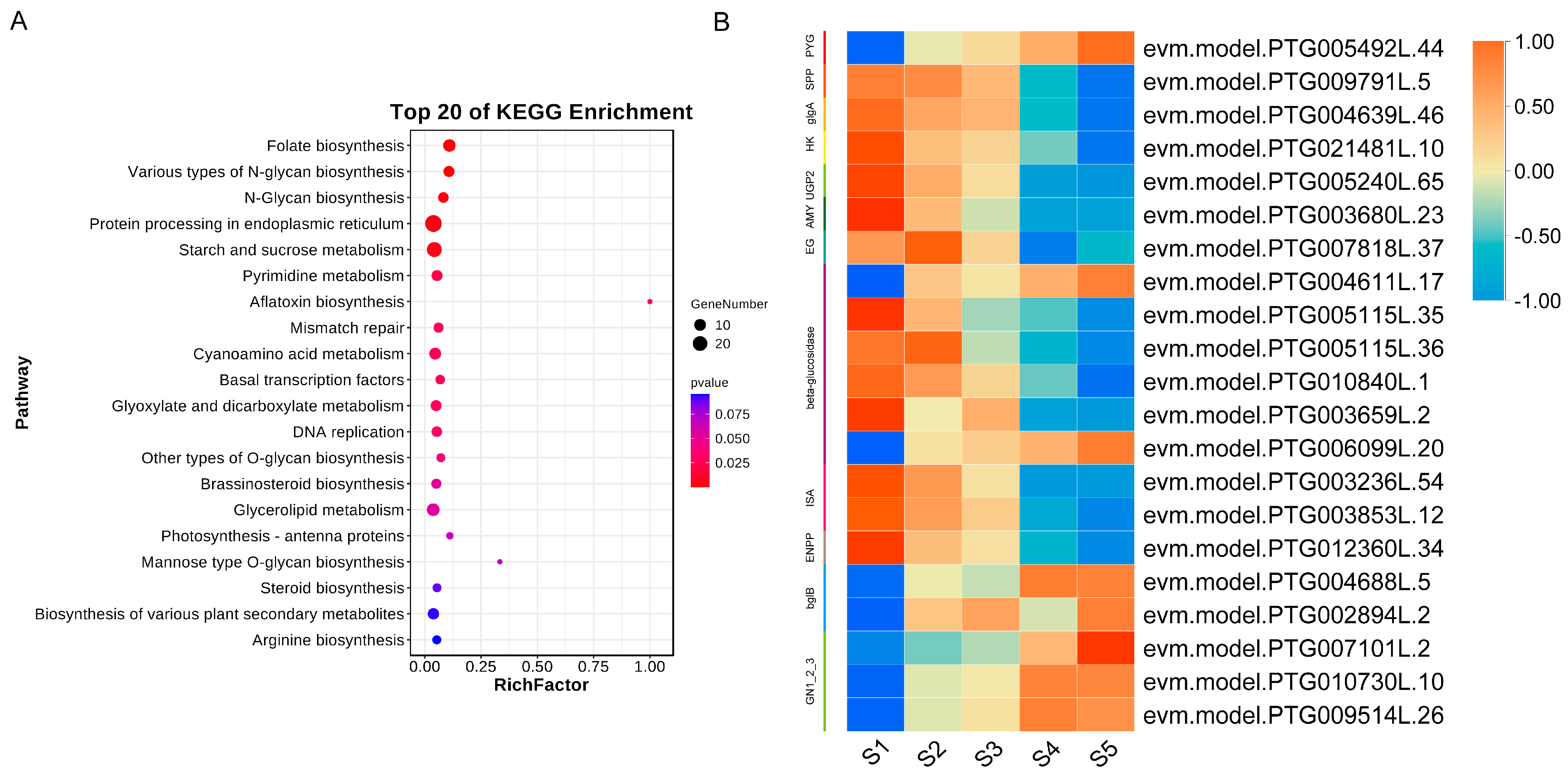 Genes 15 00267 g007