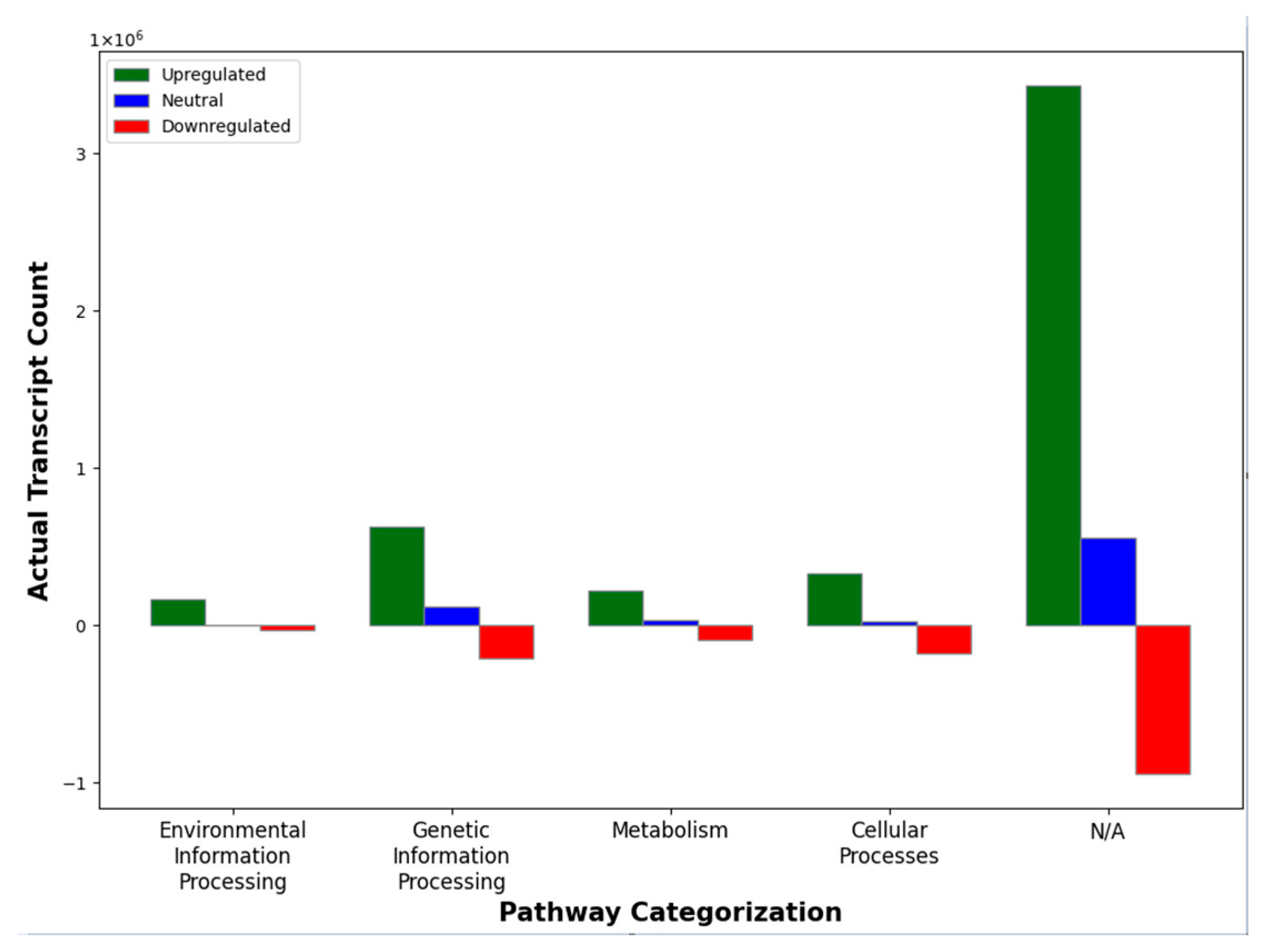 Genes 15 00283 g003