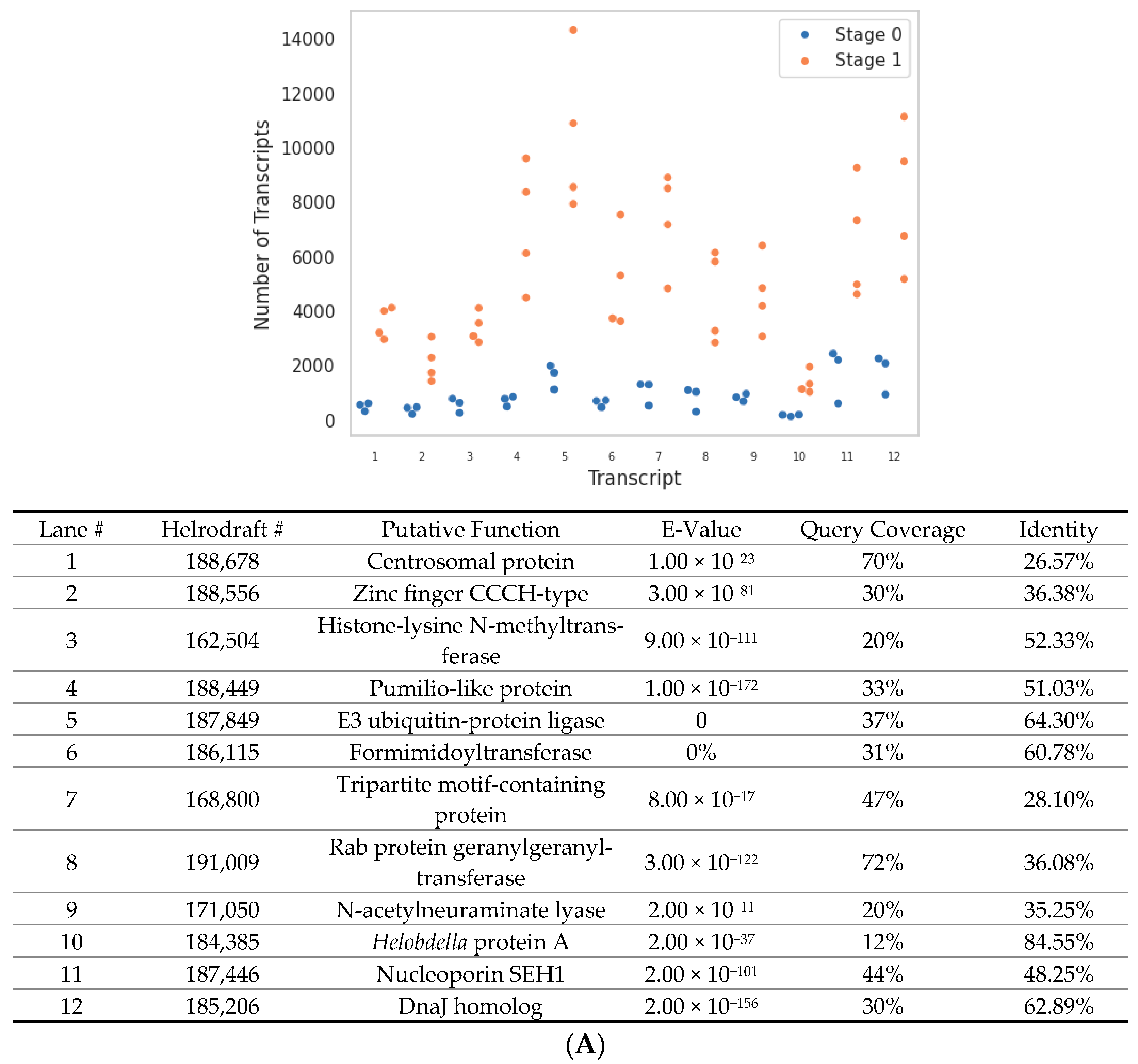 Genes 15 00283 g004a