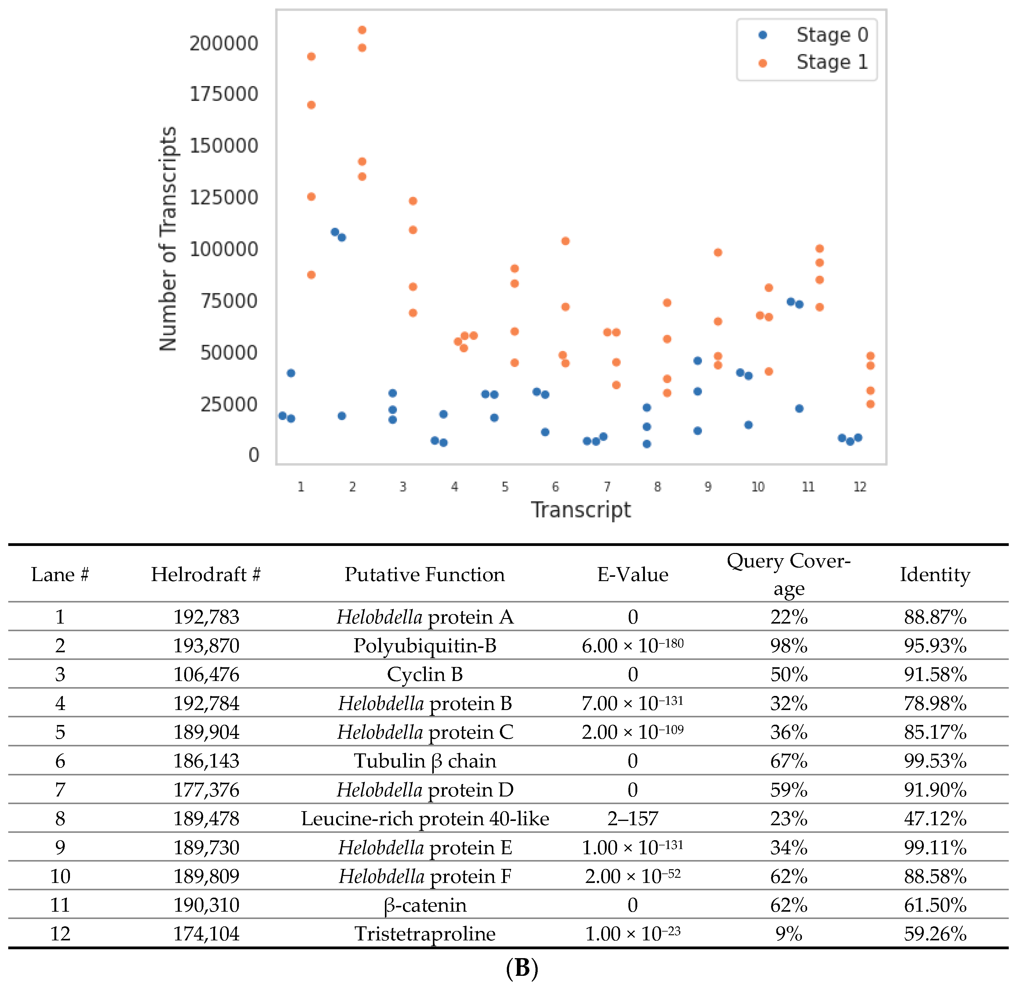 Genes 15 00283 g004b