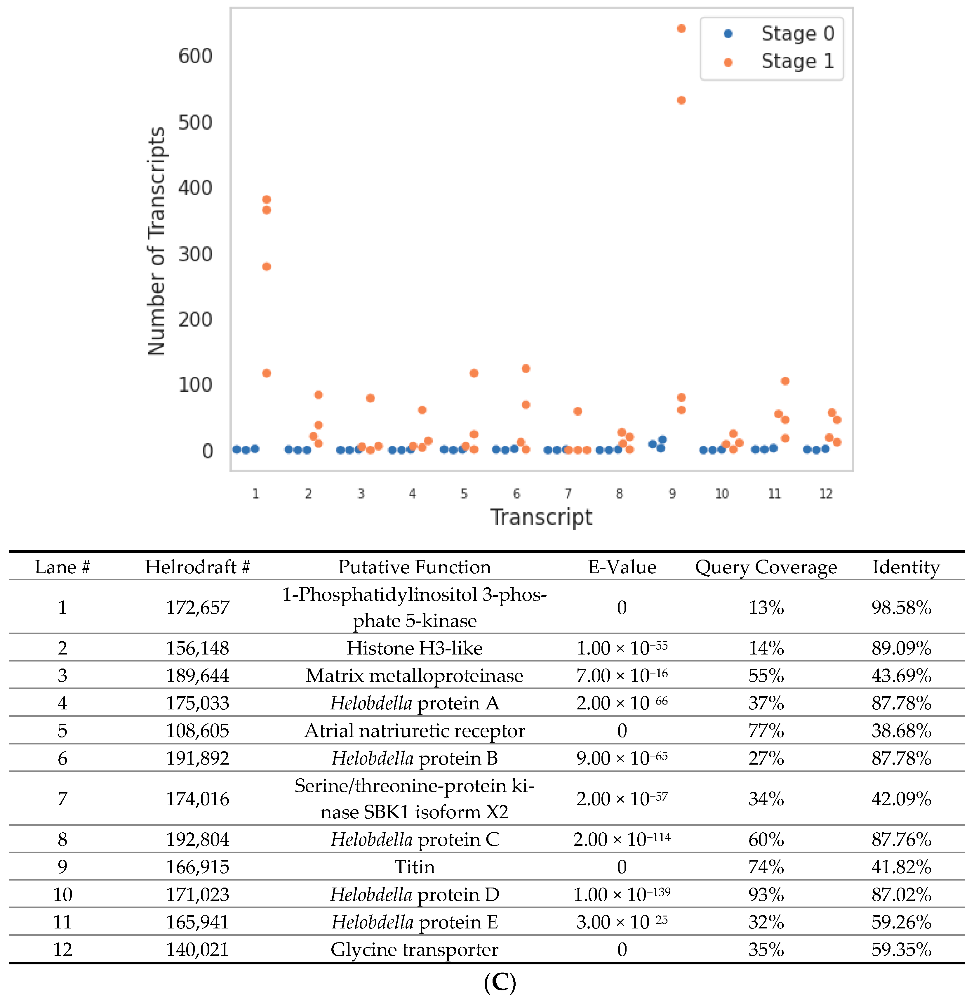 Genes 15 00283 g004c