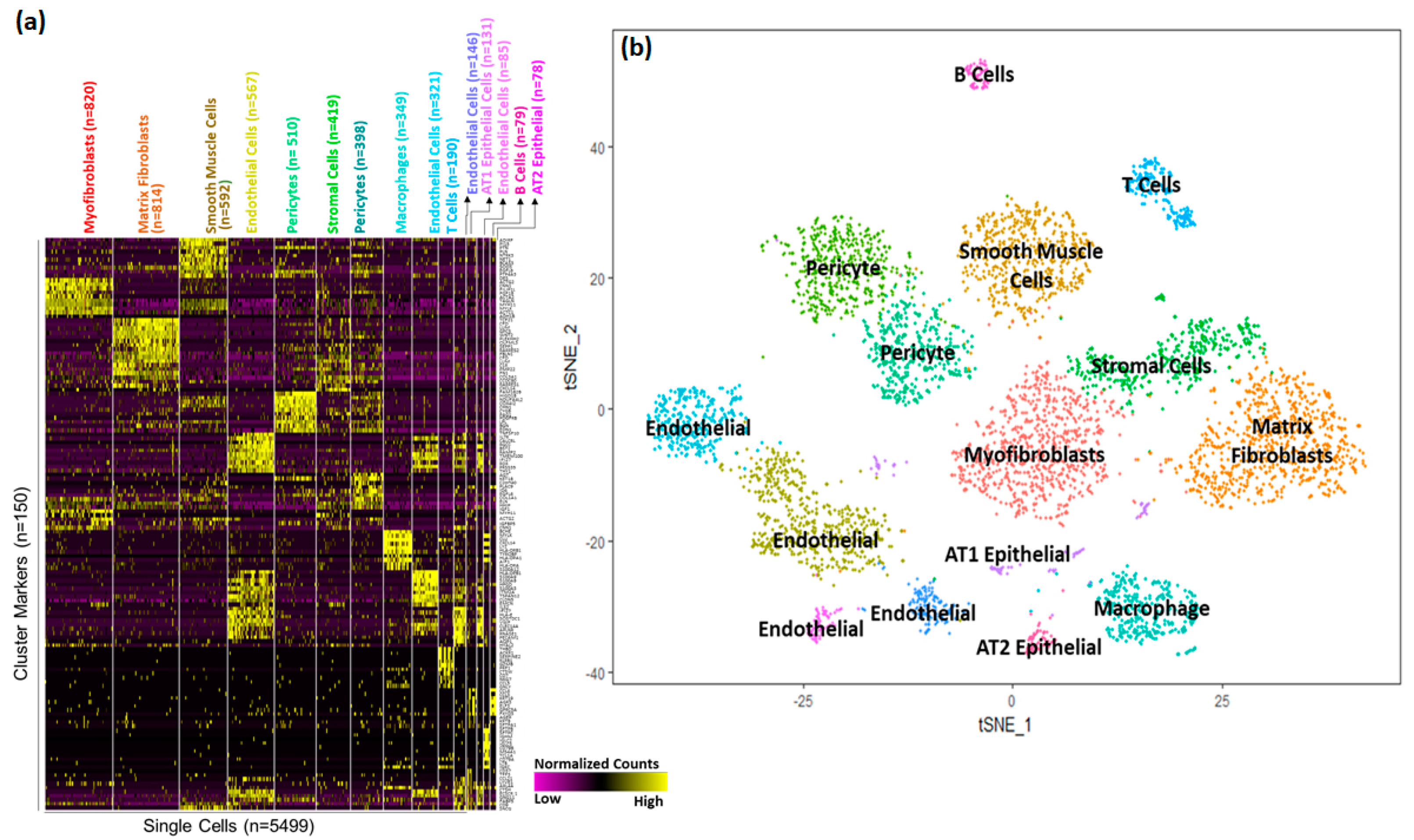 Genes 15 00298 g002