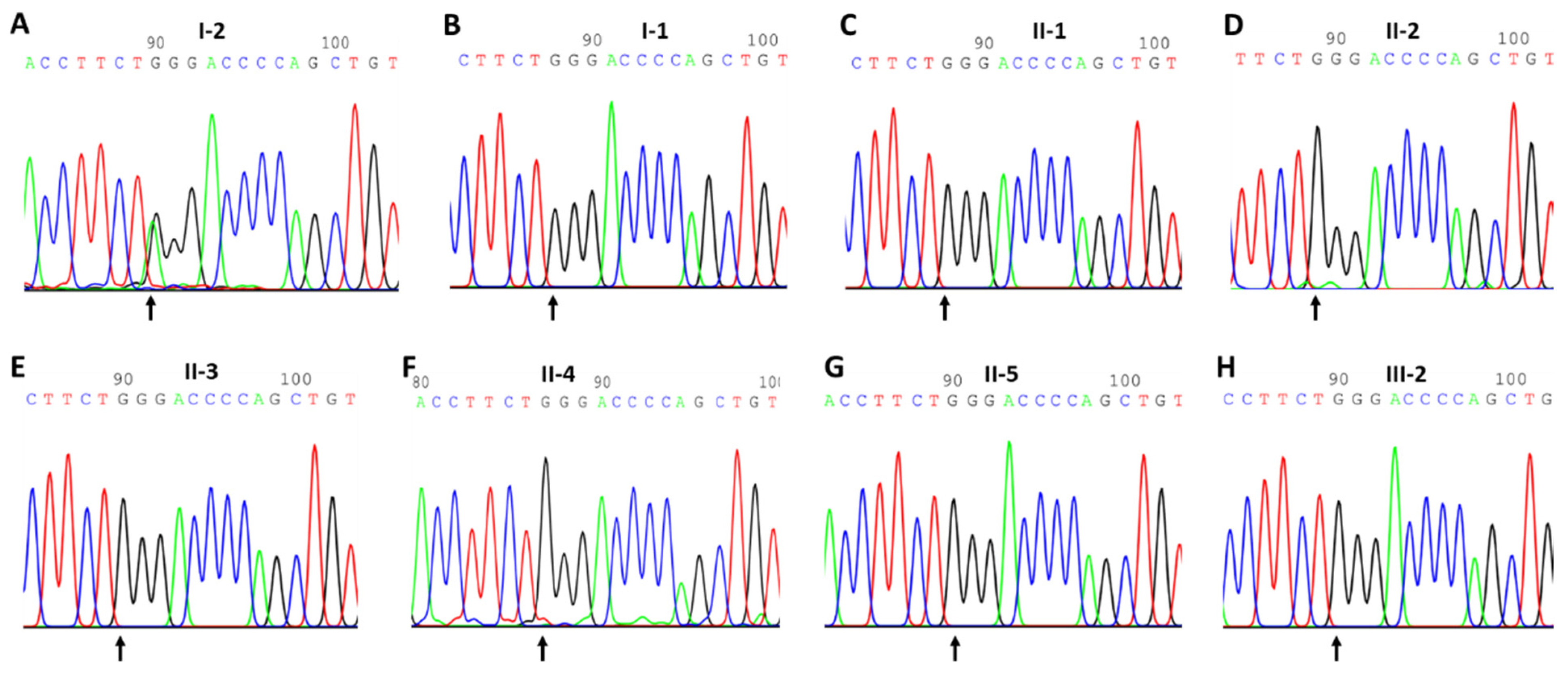 Genes 15 00304 g002 Genes 15 00304 g002