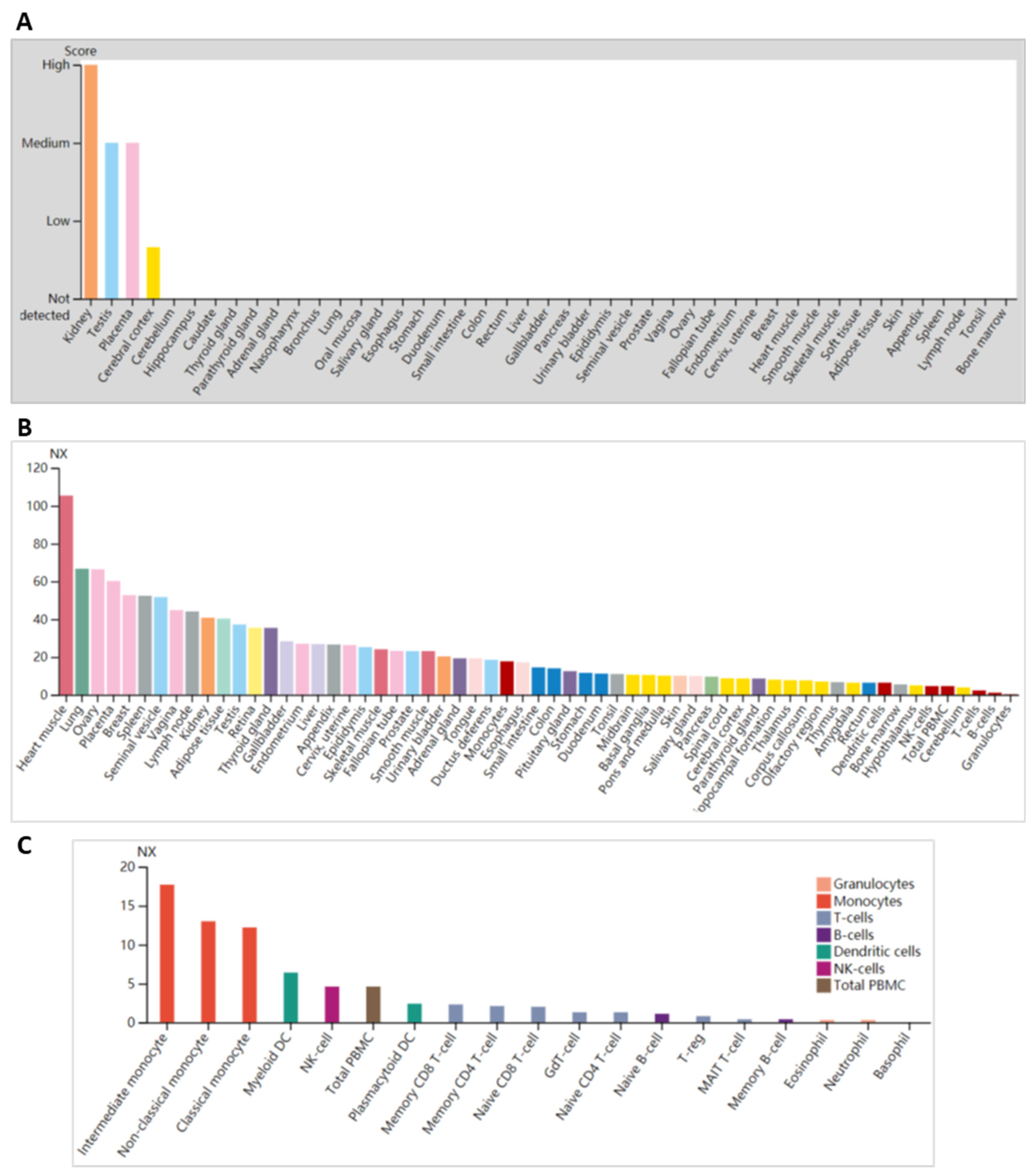 Genes 15 00304 g003 Genes 15 00304 g003