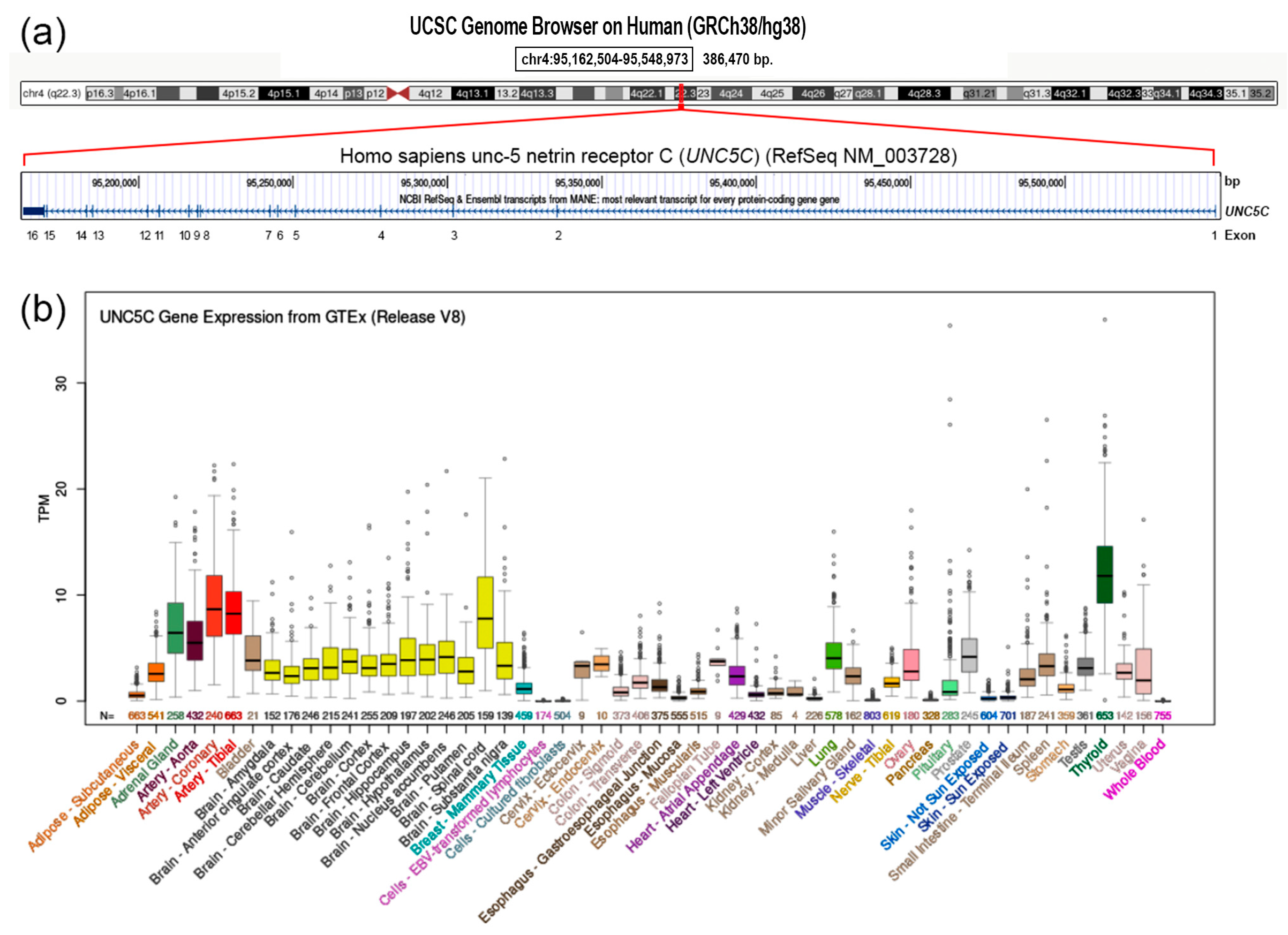 Genes 15 00306 g001 Genes 15 00306 g001