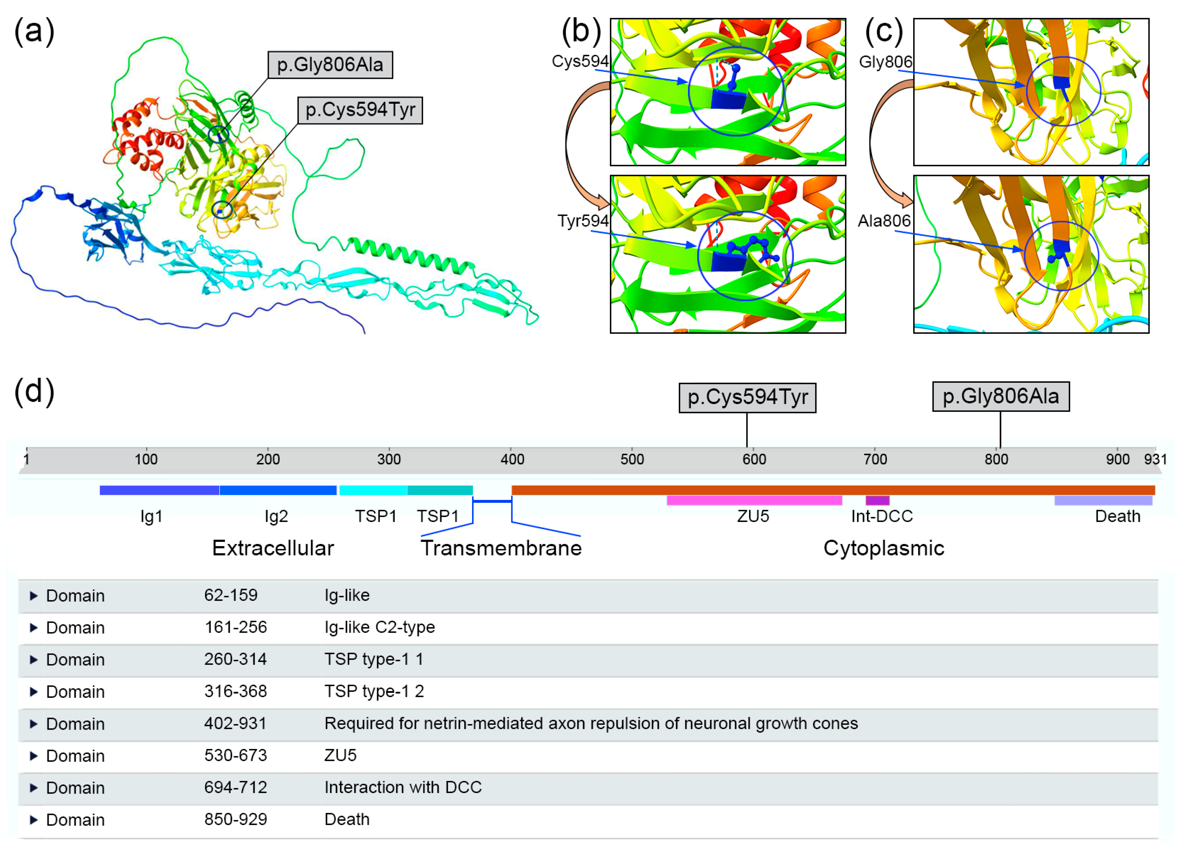 Genes 15 00306 g003 Genes 15 00306 g003