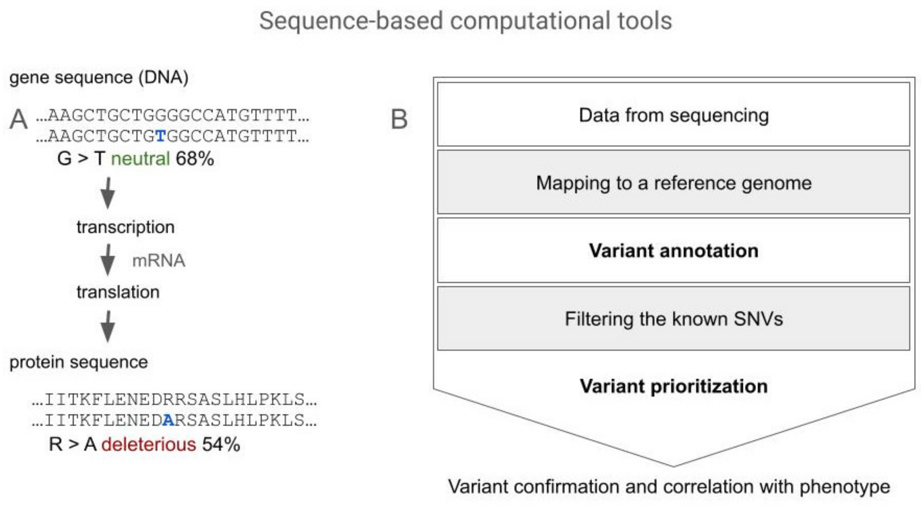 Genes 15 00340 g001