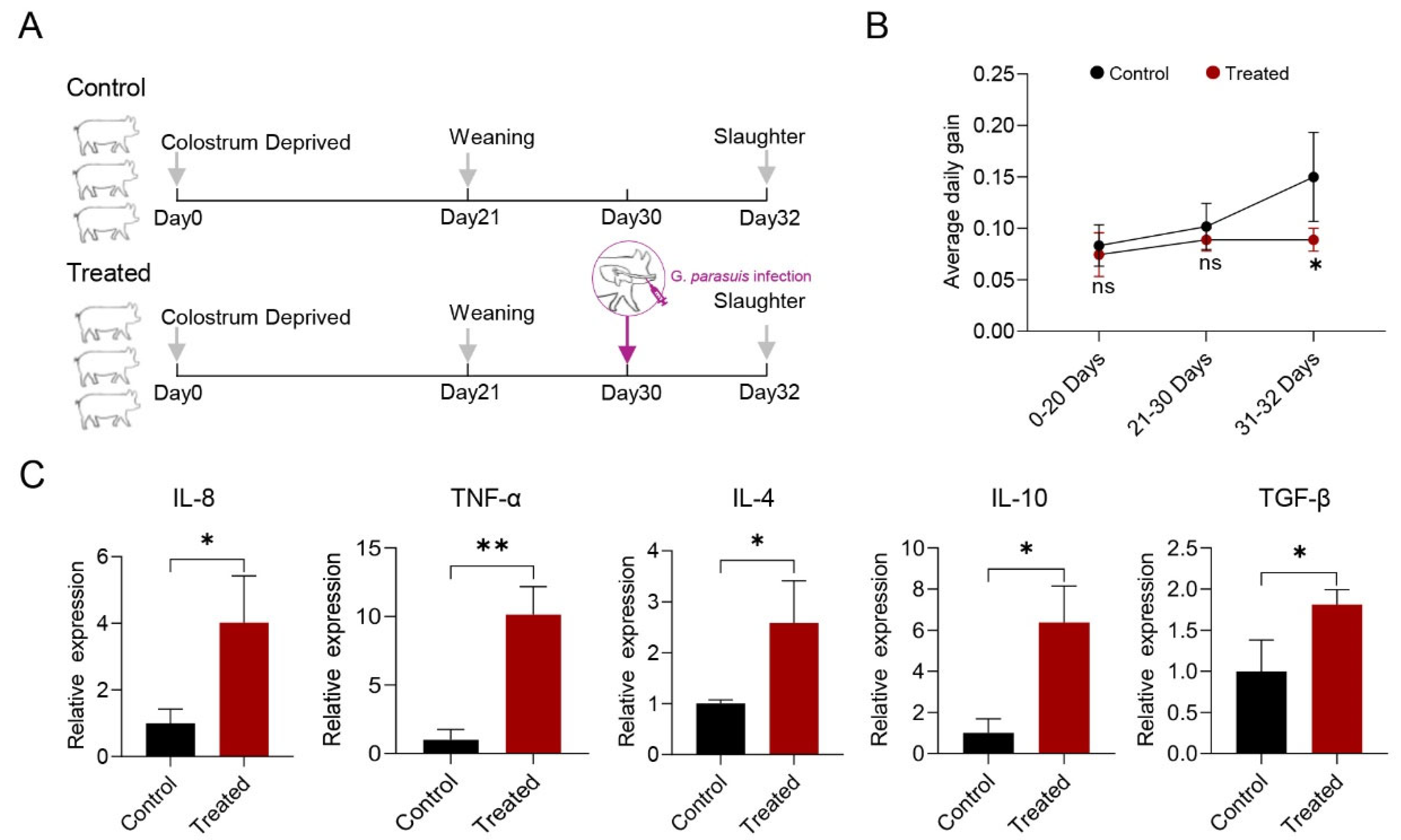 Genes 15 00359 g001