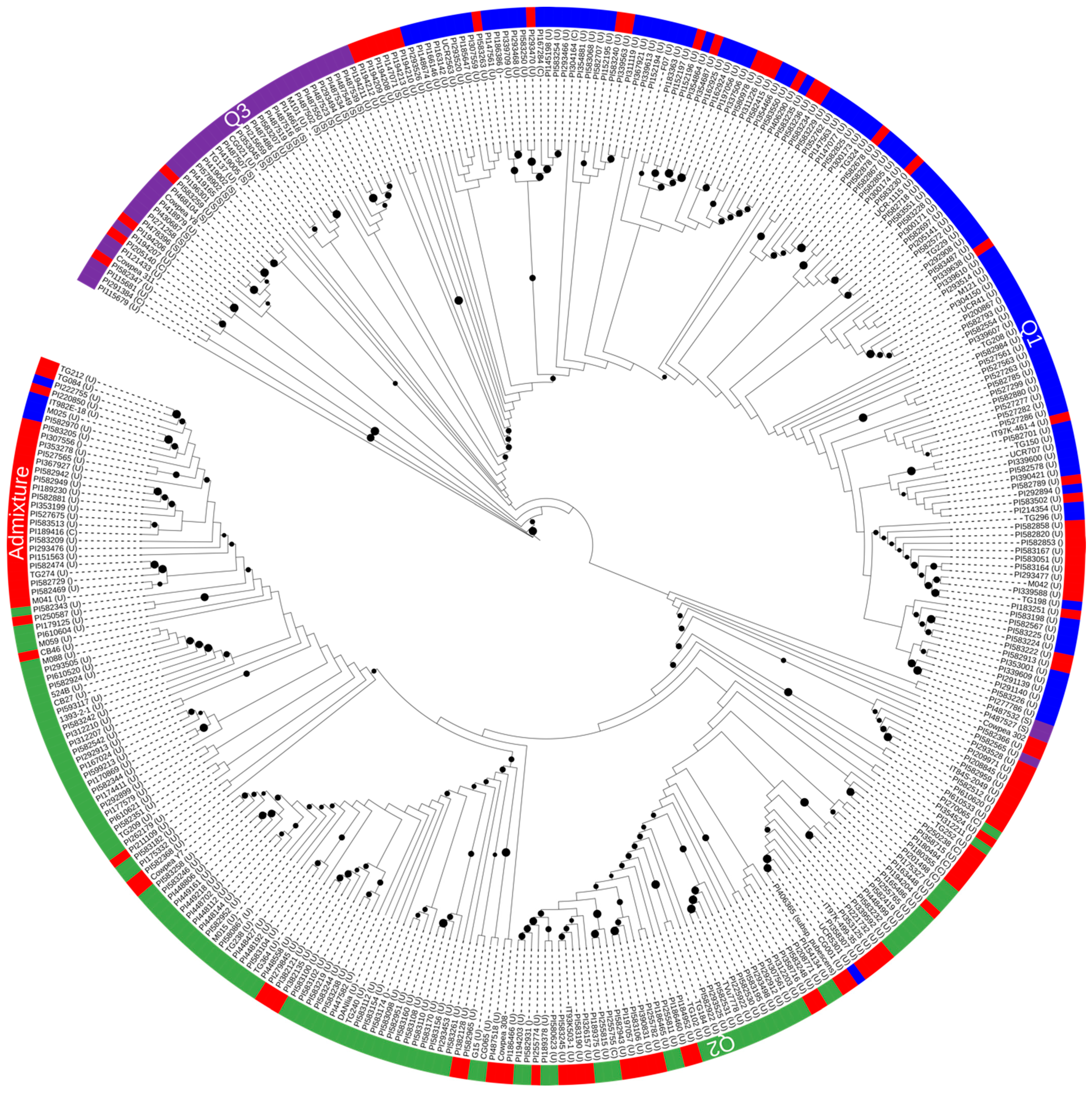 Genes 15 00362 g002 Genes 15 00362 g002