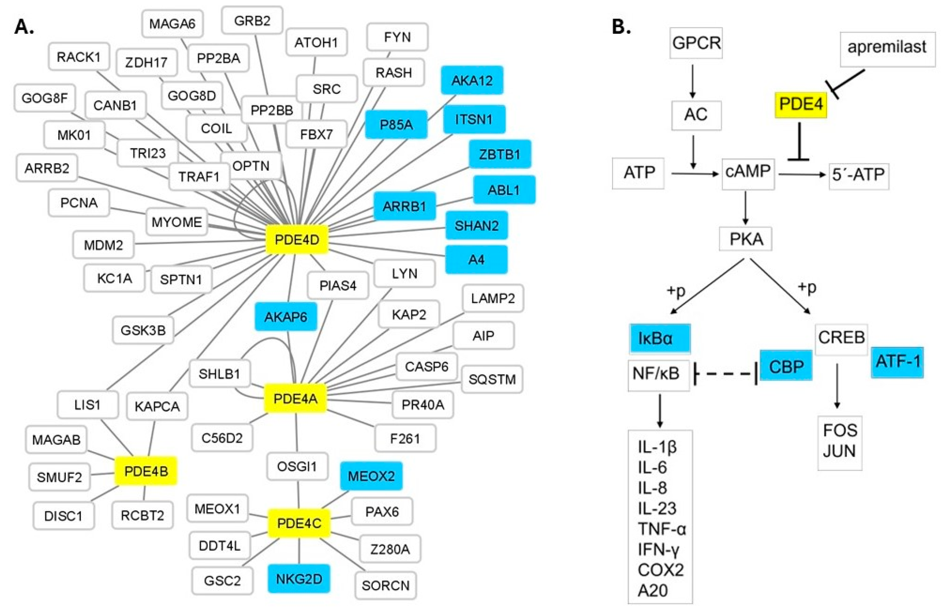 Genes 15 00369 g001