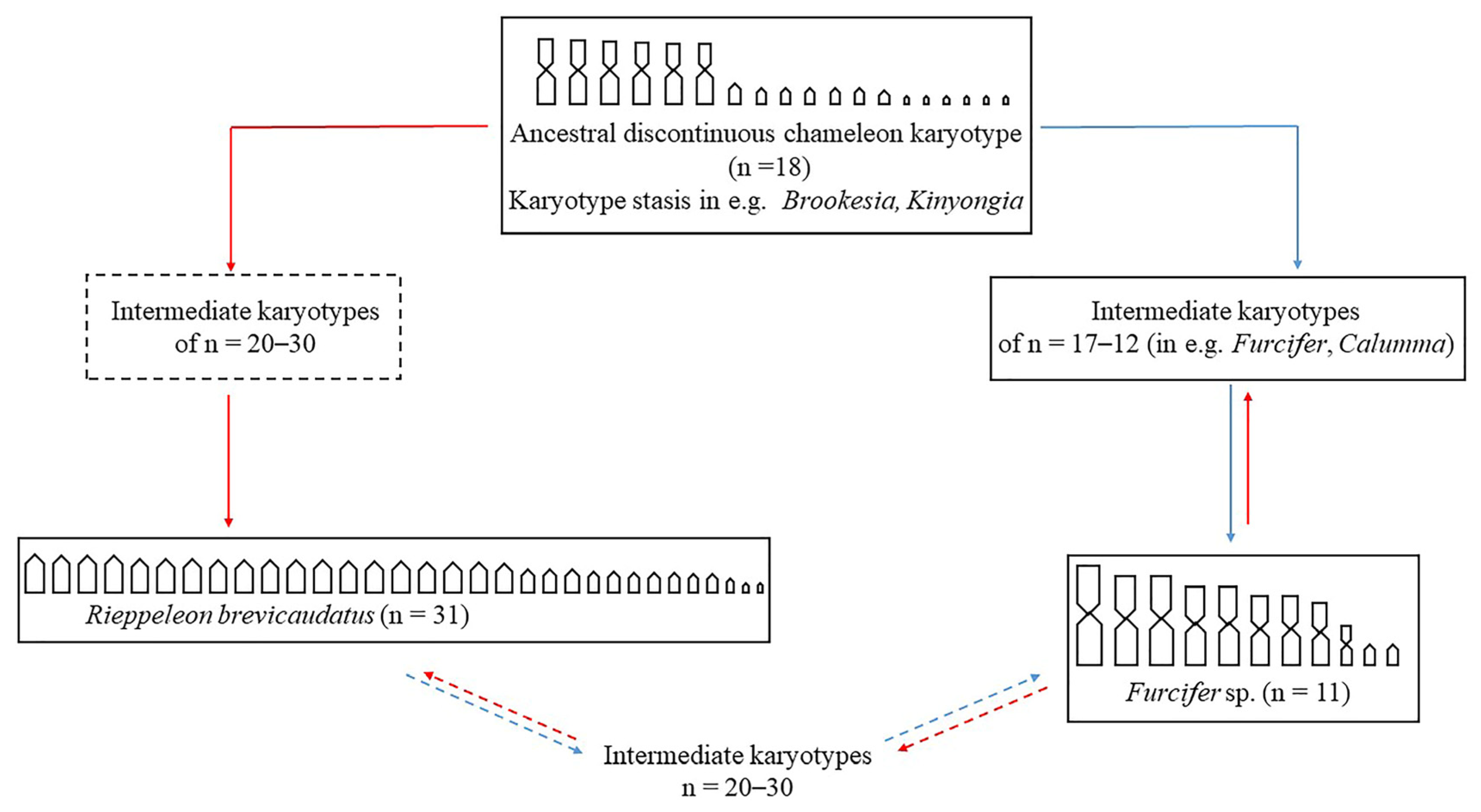 Genes 15 00371 g003 Genes 15 00371 g003