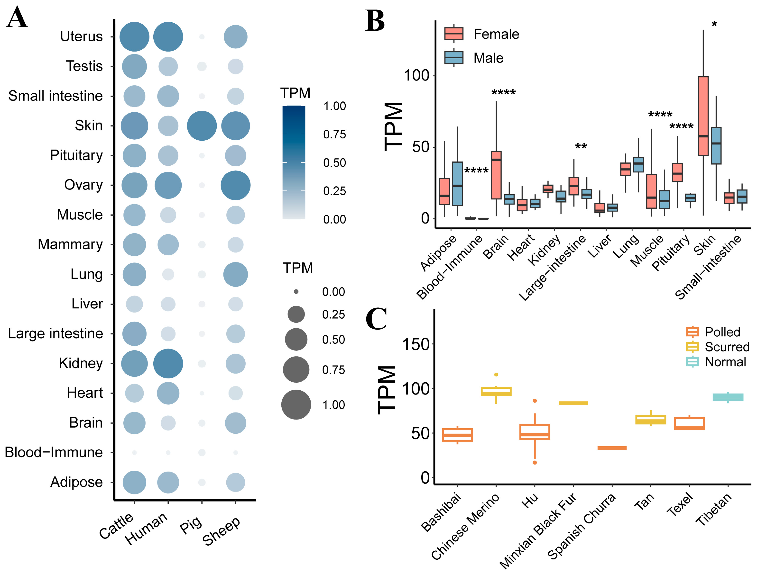 Genes 15 00376 g002