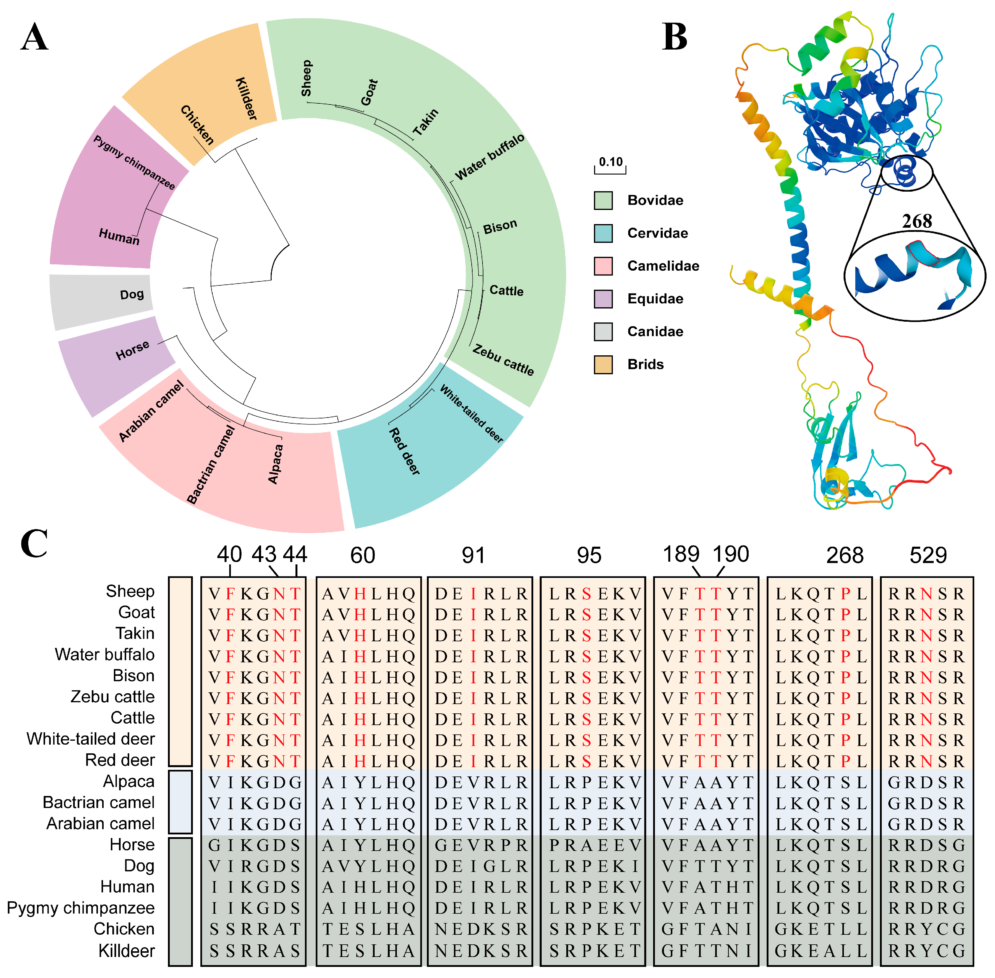 Genes 15 00376 g003