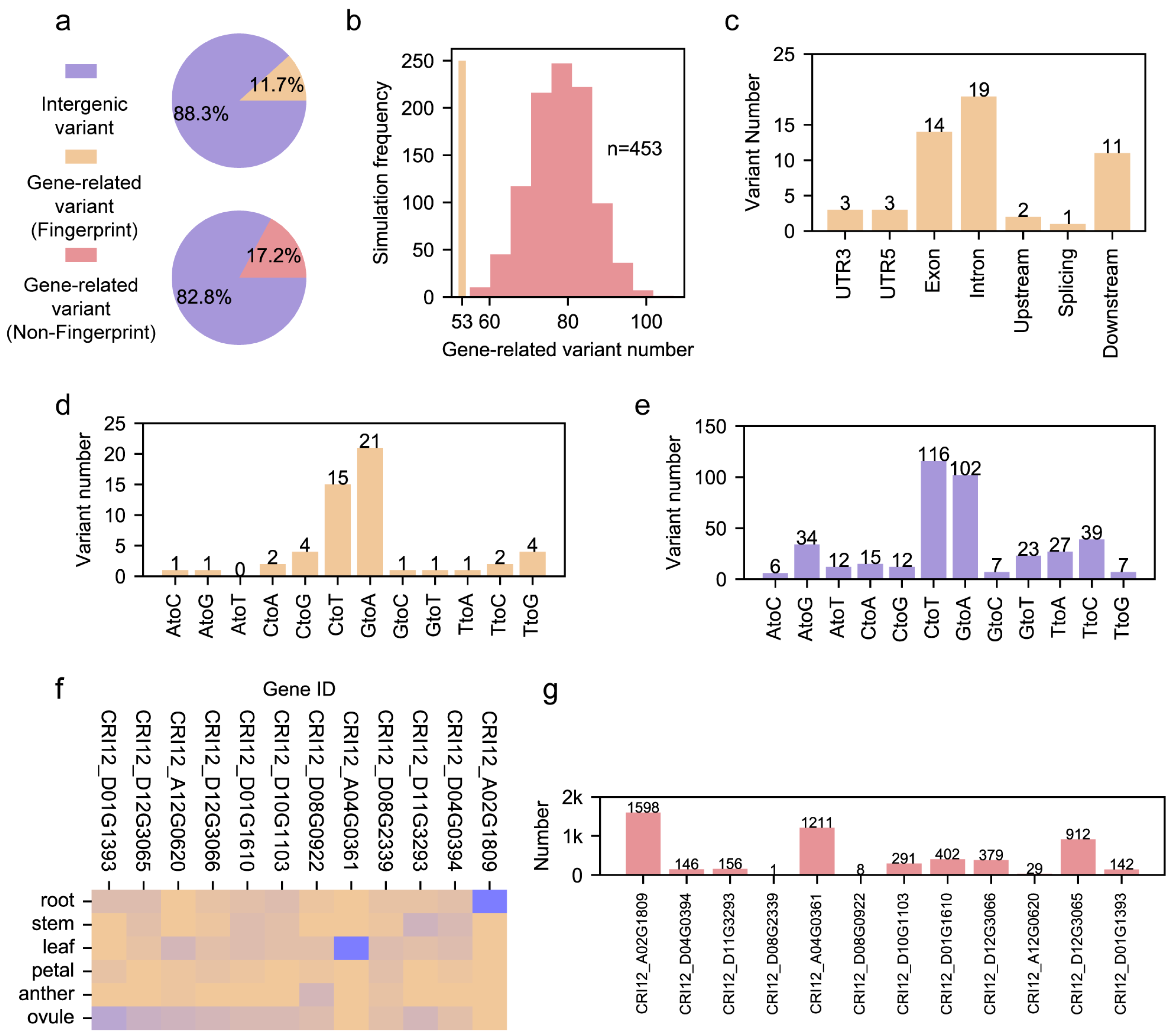 Genes 15 00378 g002 Genes 15 00378 g002
