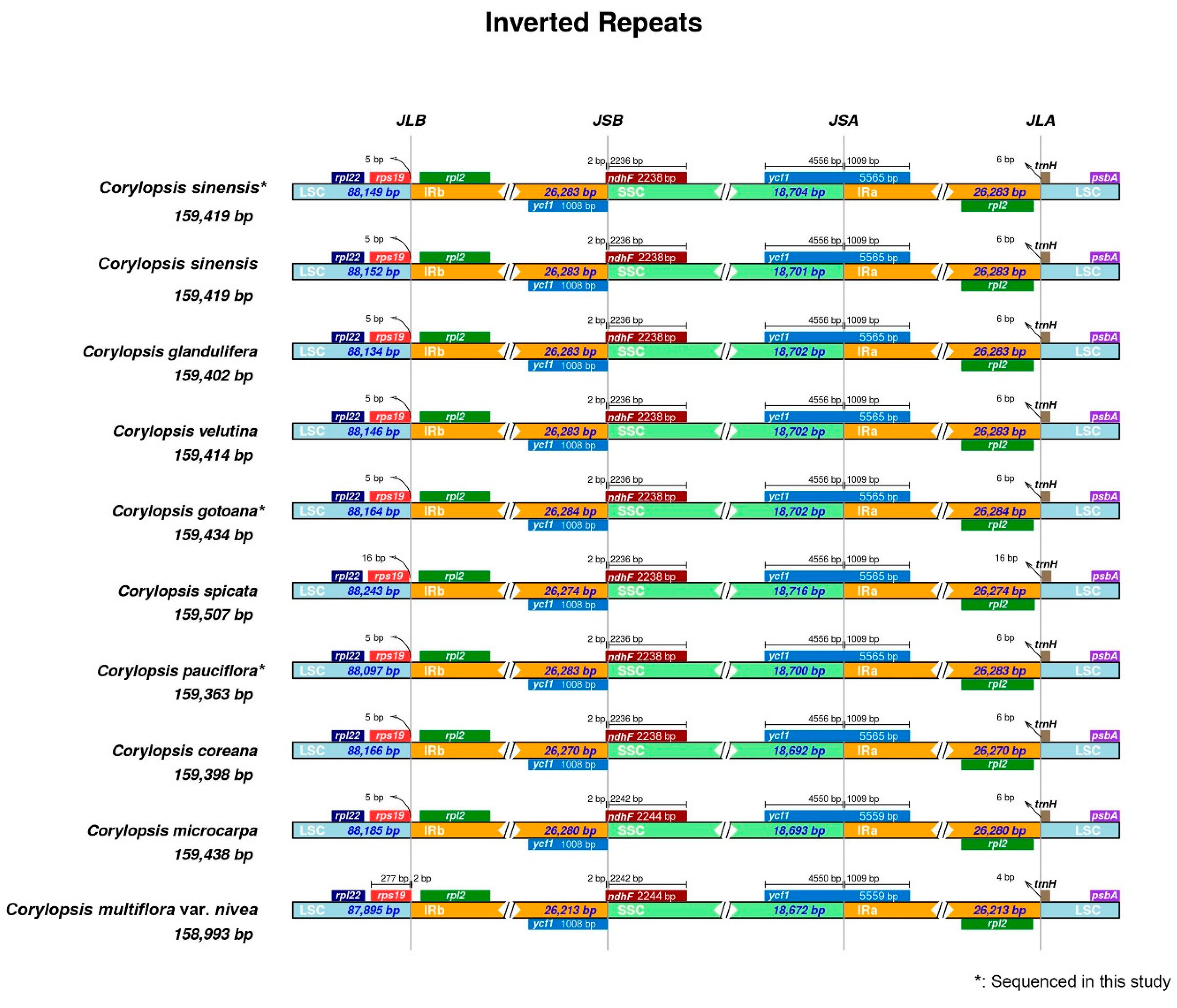 Genes 15 00380 g003
