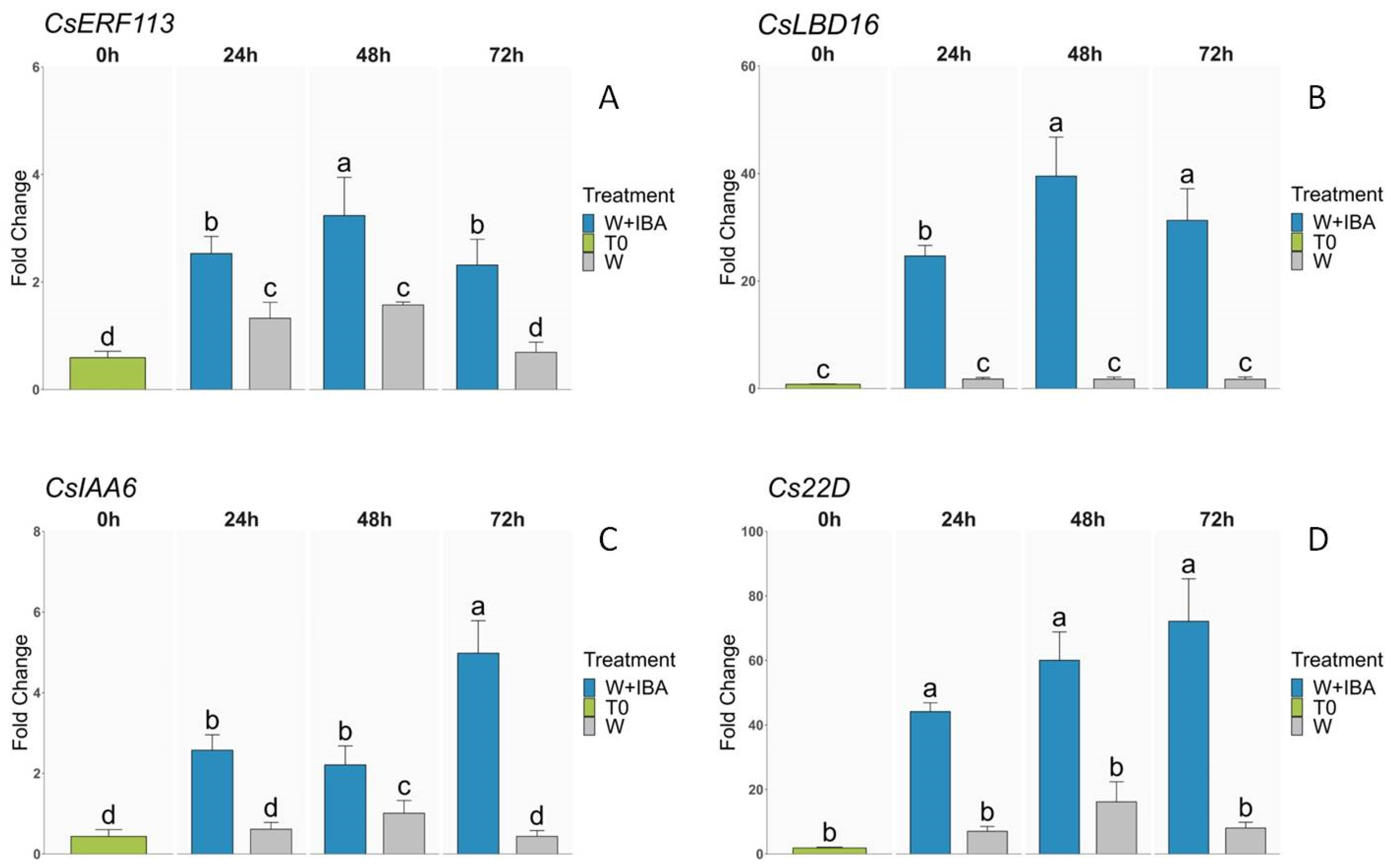 Genes 15 00388 g006