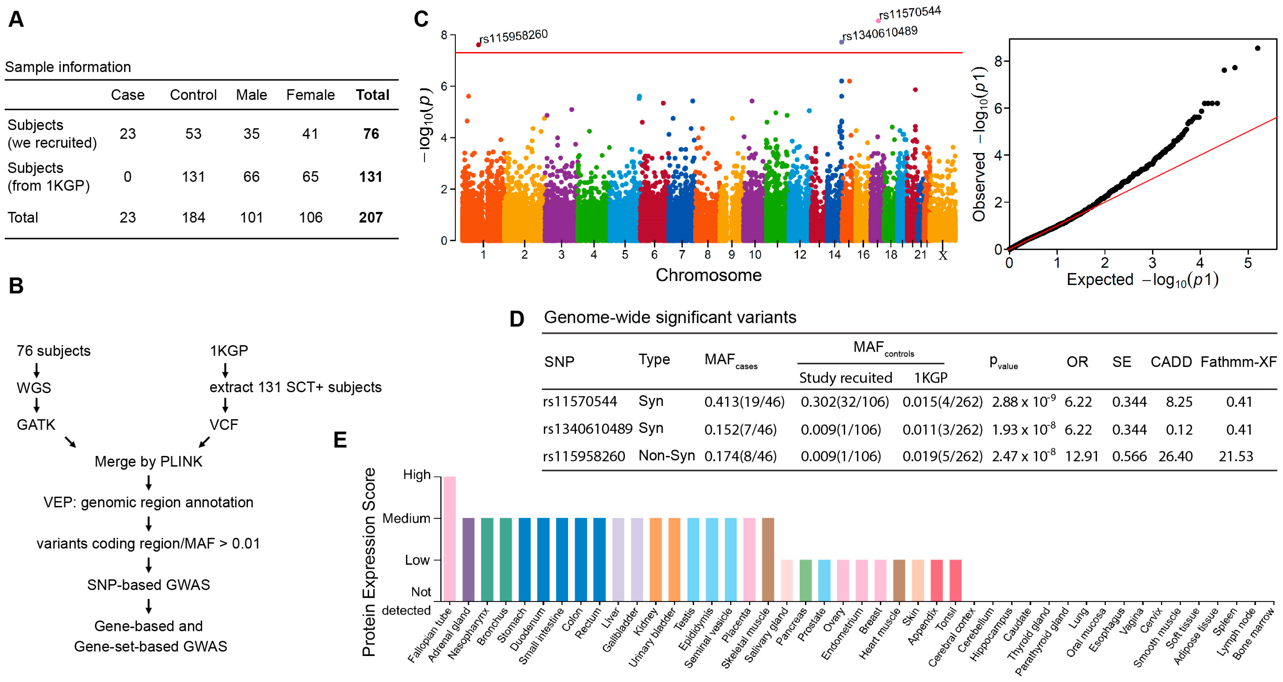 Genes 15 00408 g001
