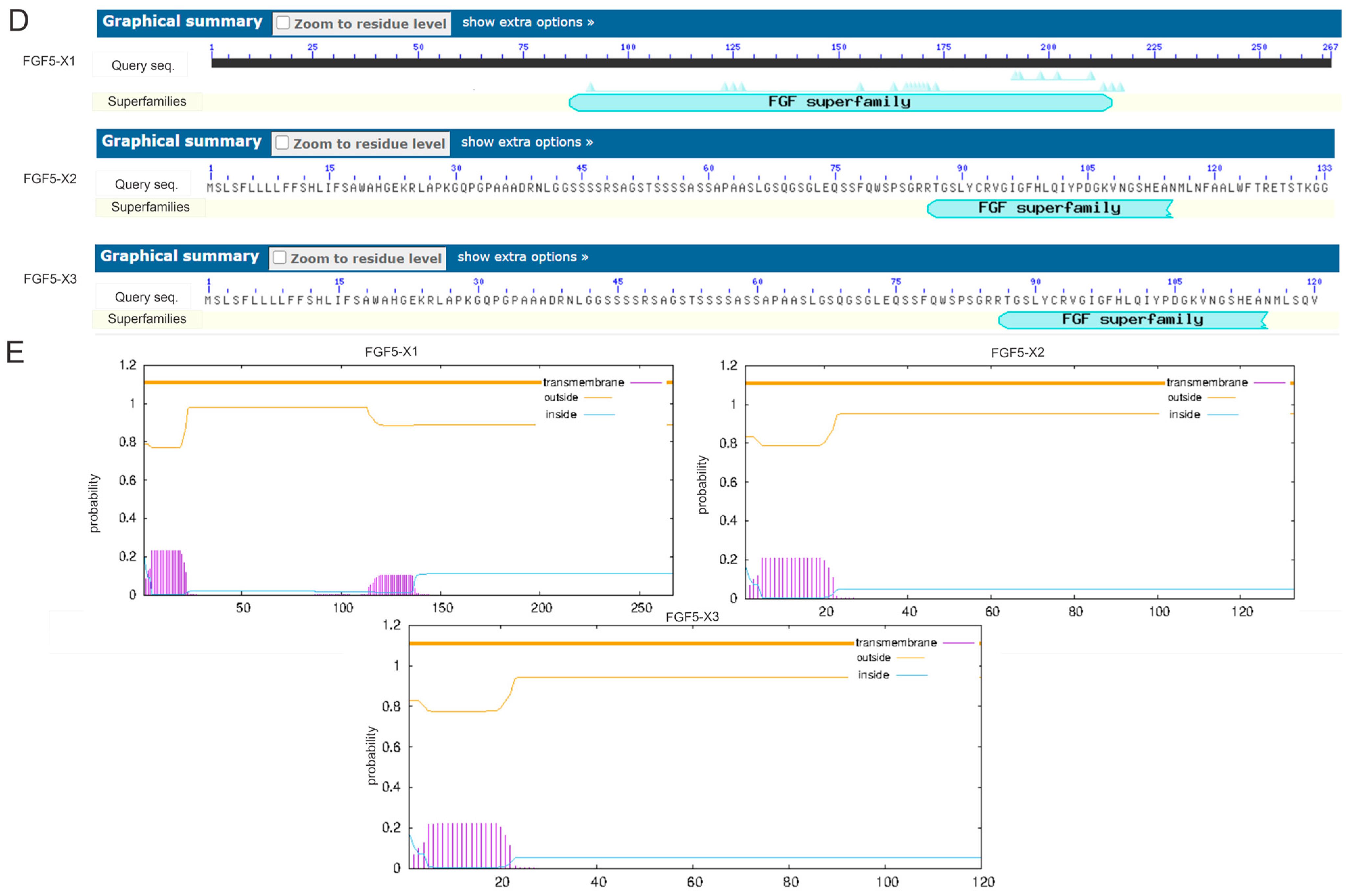 Genes 15 00409 g002b