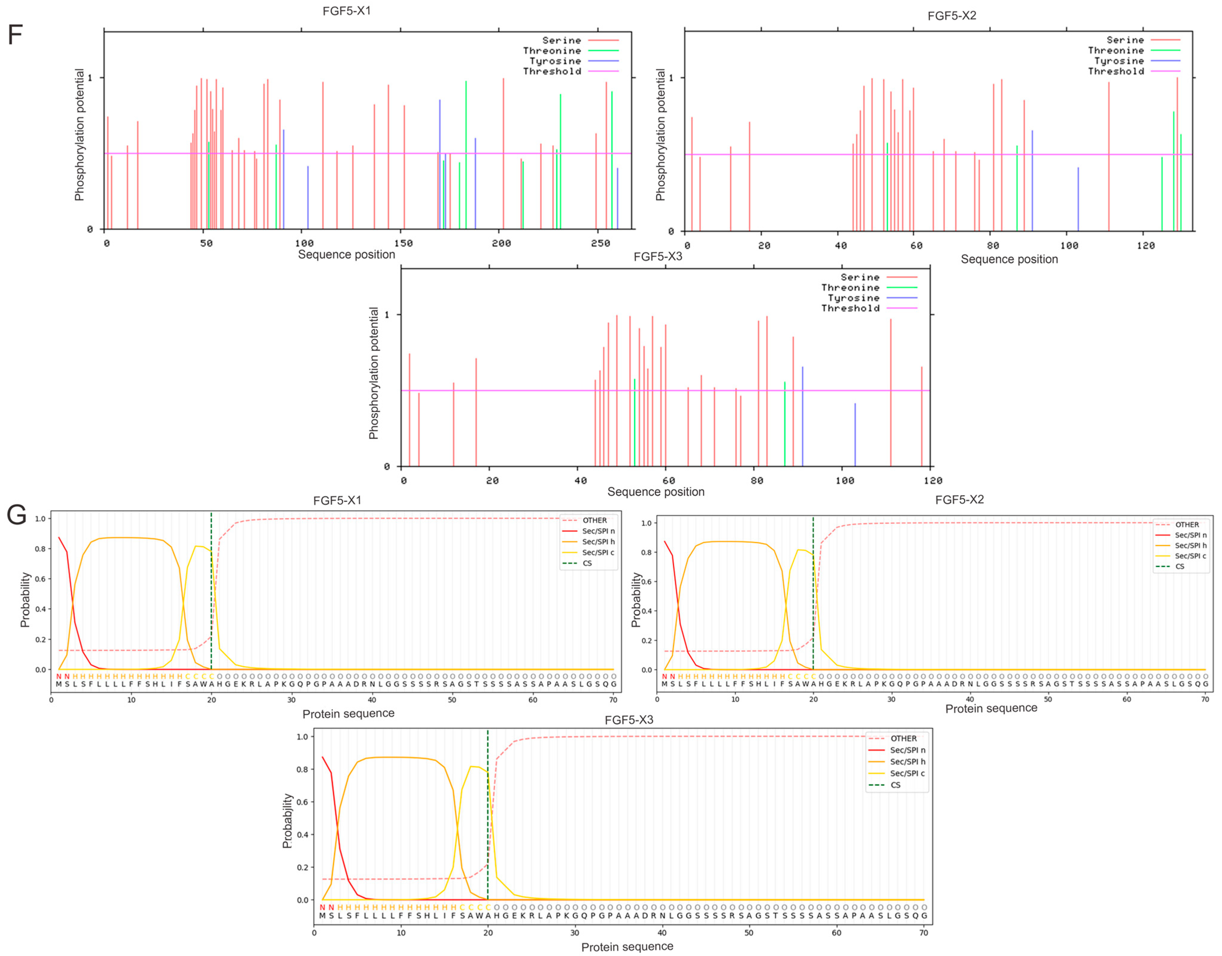 Genes 15 00409 g002c
