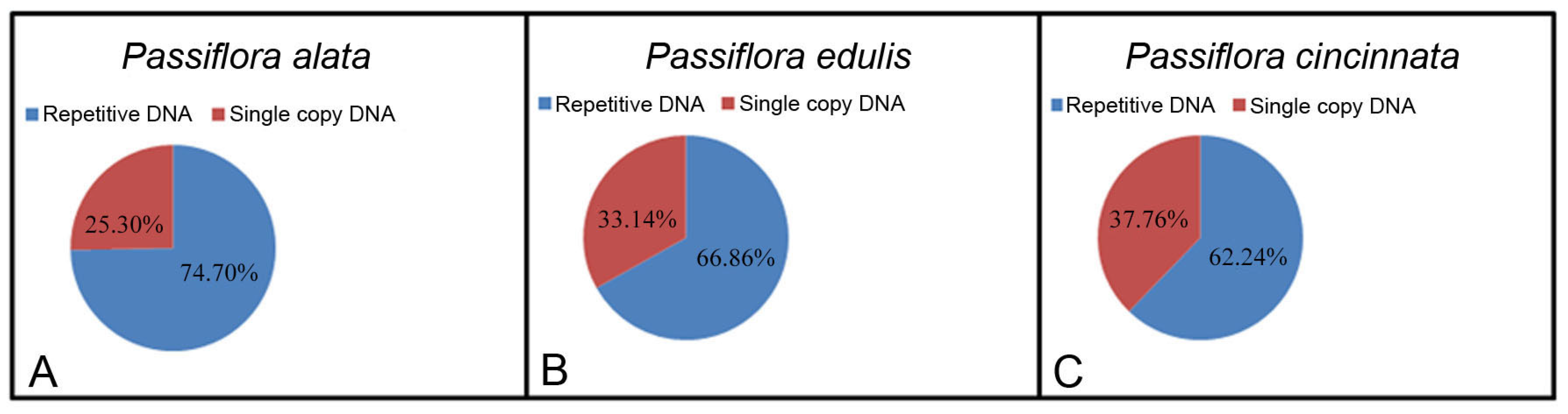 Genes 15 00418 g001 Genes 15 00418 g001